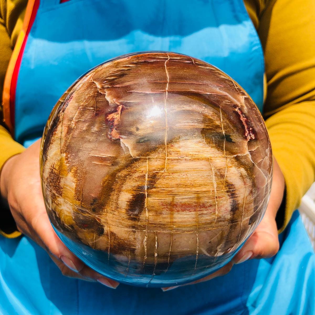 8.18LB Rare Natural Petrified Wood Ball Crystal Quartz Mineral Healing 4698