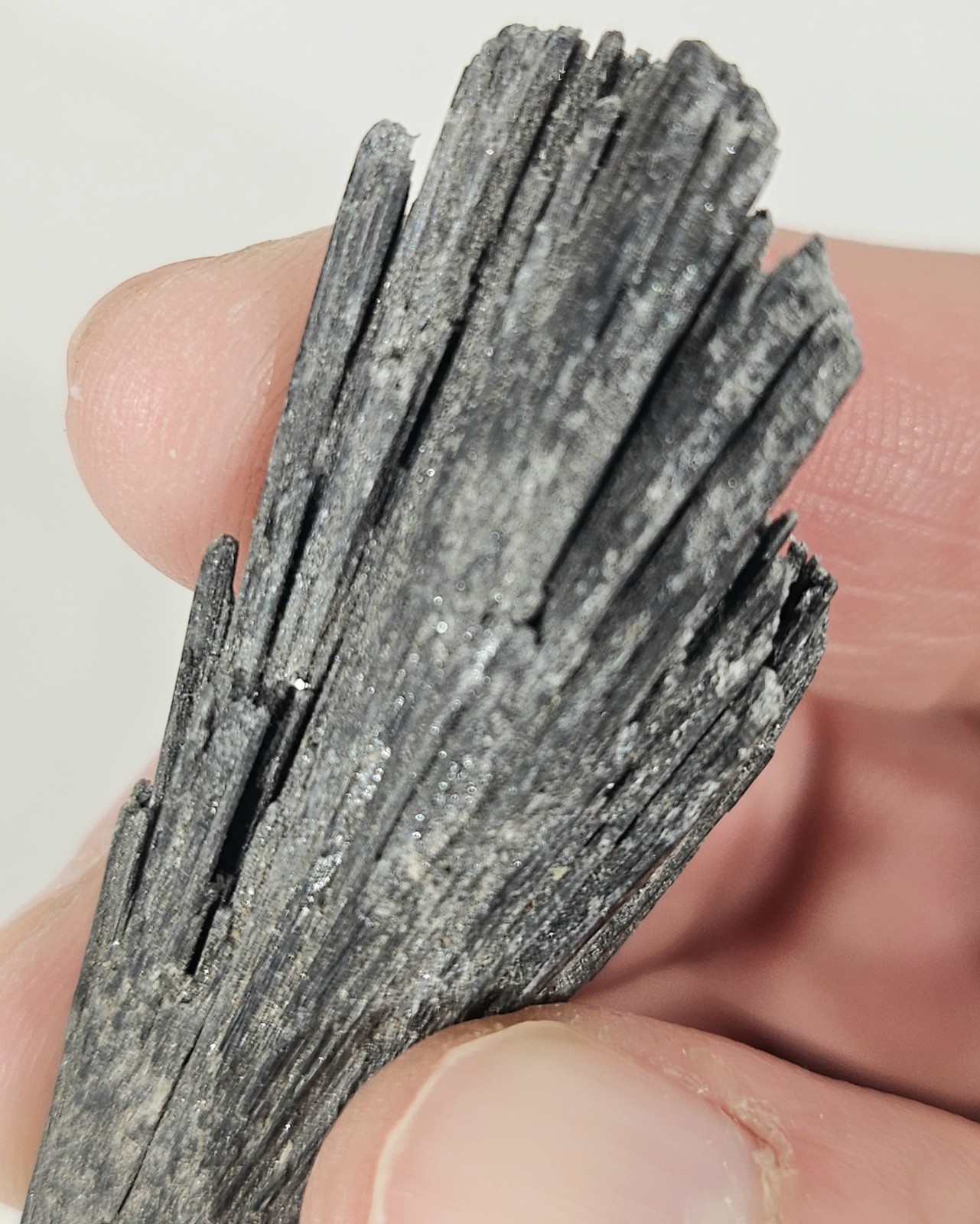 Natural Rough Black Kyanite Fan Blade – Witch’s Broom Crystal Healing Specimen