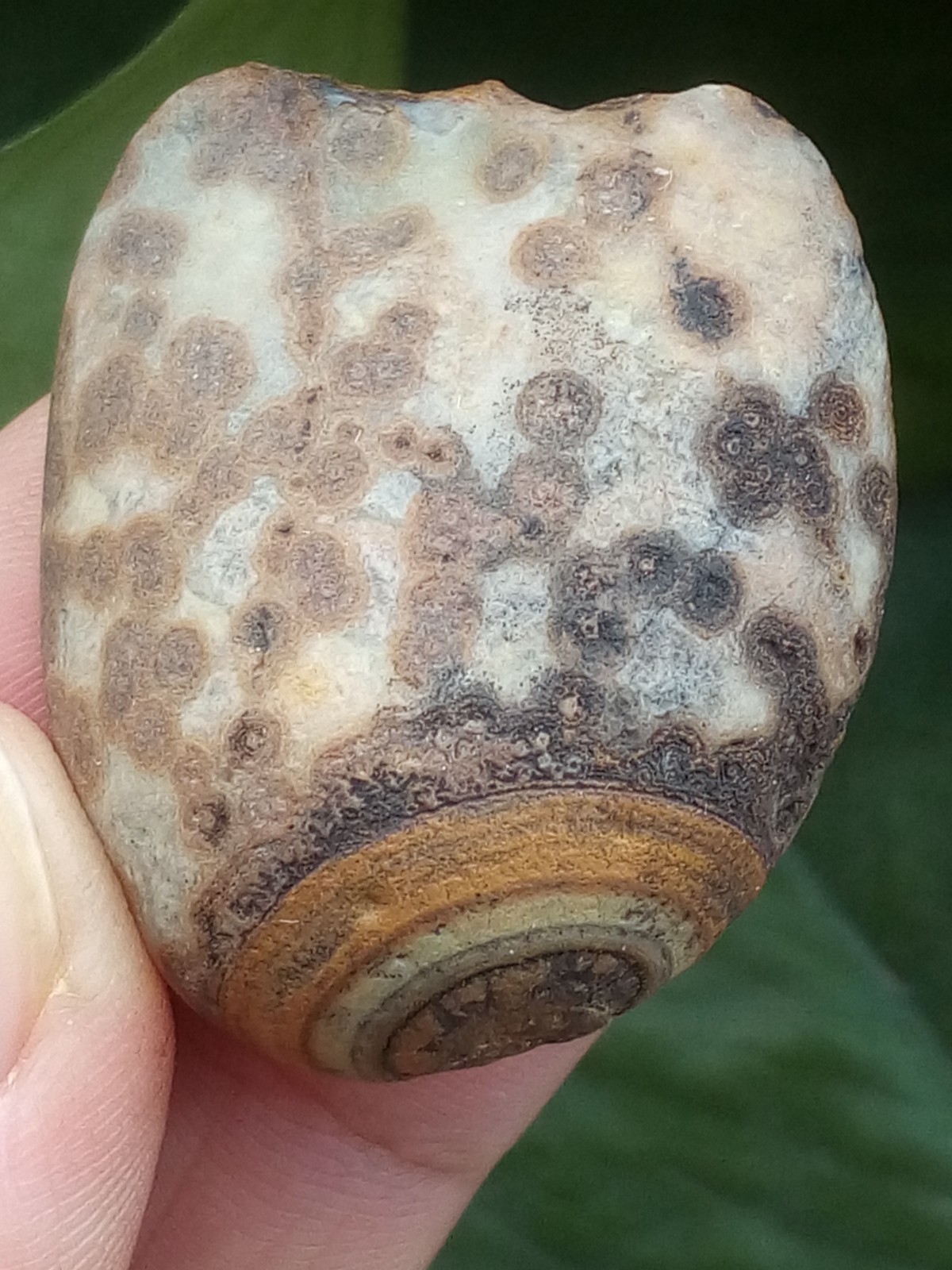 36mm Natural Gobi agate eye agate stone collection