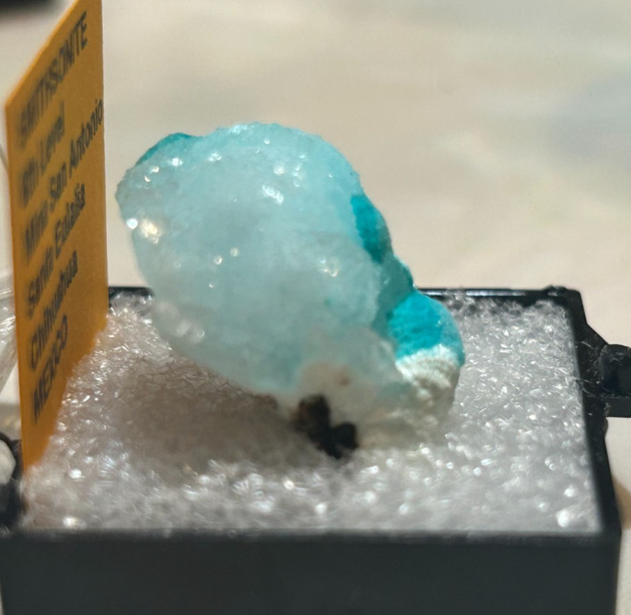 Smithsonite Thumbnail 8th Level Mina San Antonio Santa Eulalia Mexico