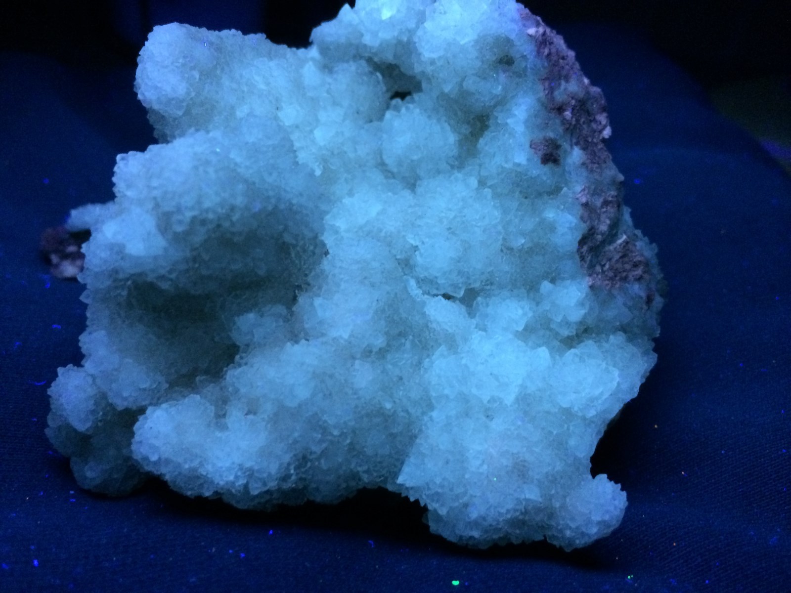 KB: BRIGHT CABINET SW & LW FL. BLUE/WHITE COLEMANITE XLS., KERN CO., CALIFORNIA