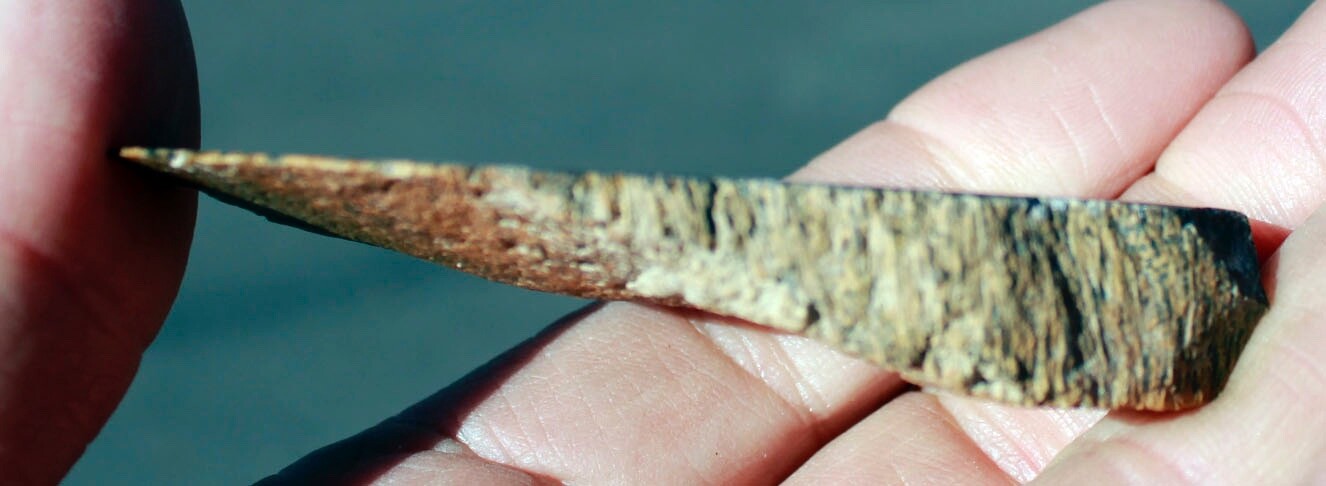 Petrified Palmwood • 2.0 oz. • Juab County, Utah