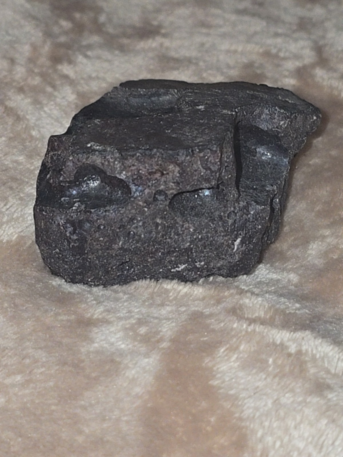 208 GRAM Murchison meteorite w/ fusion crust (CM2 carbonaceous) Australia