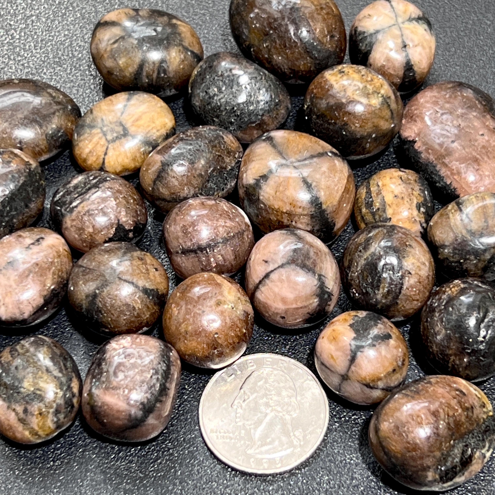 Chiastolite Mixed Quality (Fairy Cross Stone) Tumbled (By The Piece or Pound)