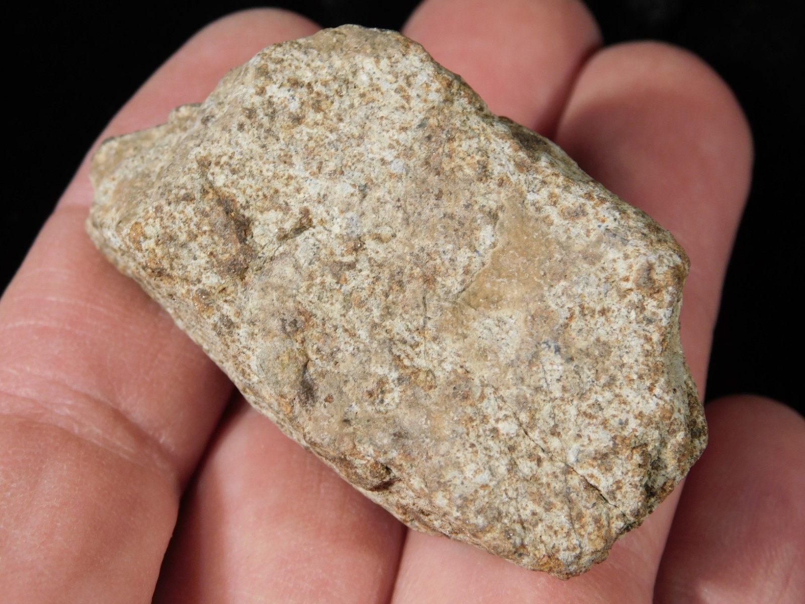 Classified NWA 8245 METEORITE 100% Natural FELL on Erfoud, Morocco 68.1gr