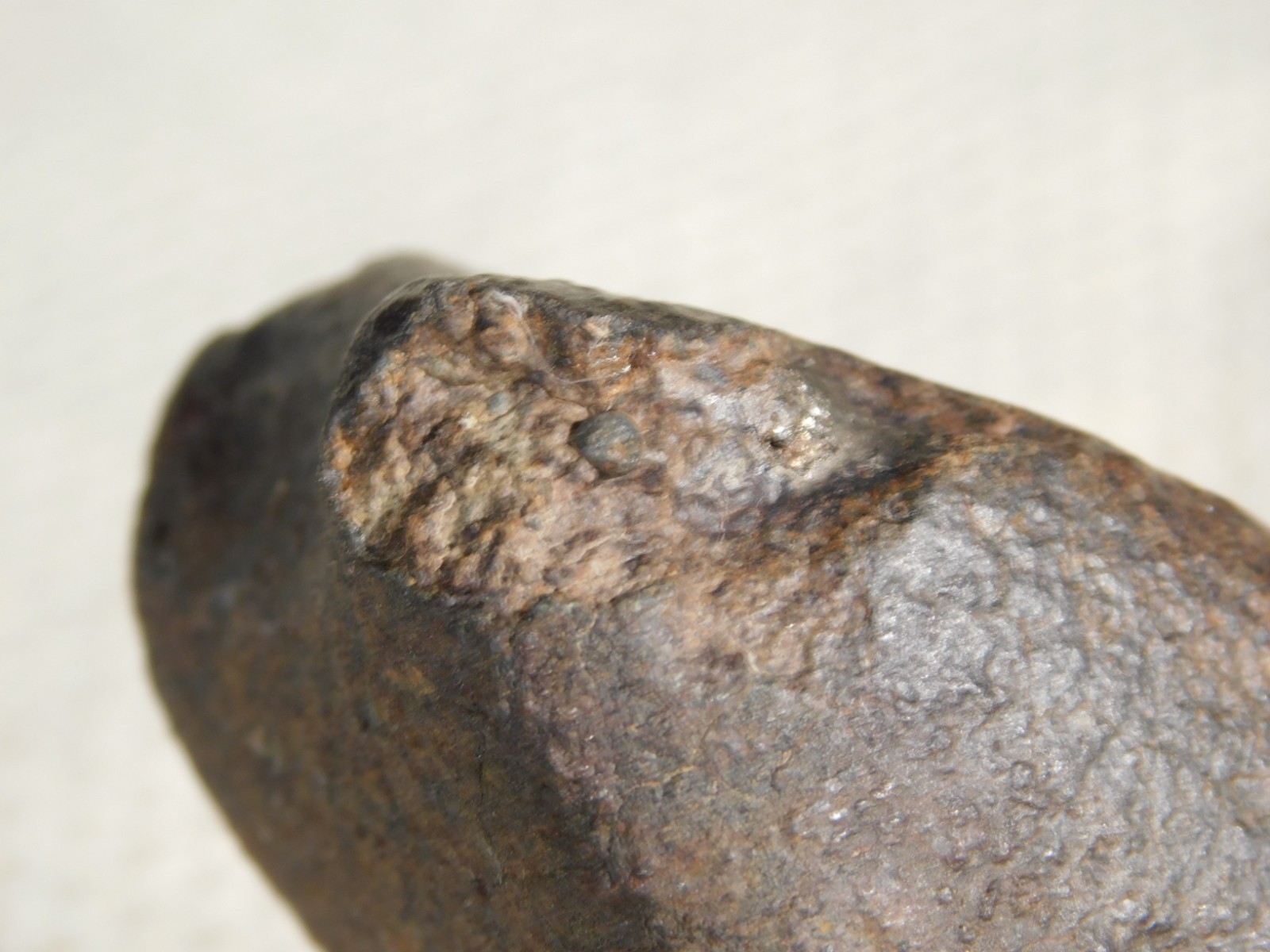 Stony N.W.A. METEORITE 100% Natural FELL in Libya 98.4gr