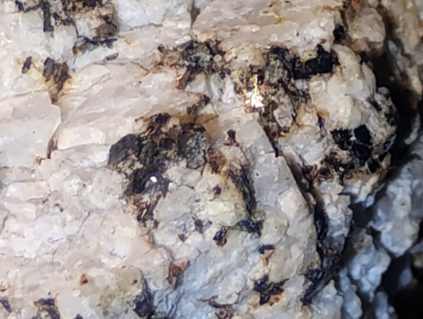 Polymetallic Ore Matrix Quartz, Pyrite & Silver/Black Sulfides – Blue Mountain?