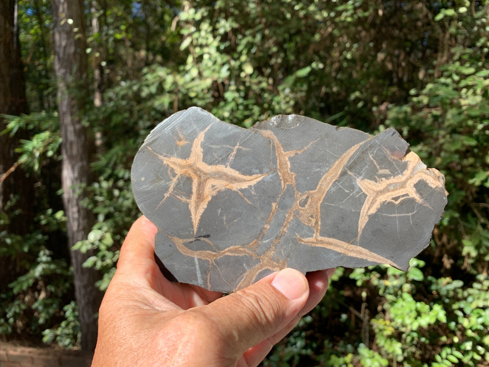 ☆1.2LB (650Gr) 6 Inch Septarian DOUBLE Nodule 1/2 Geode Mineral from Utah☆723