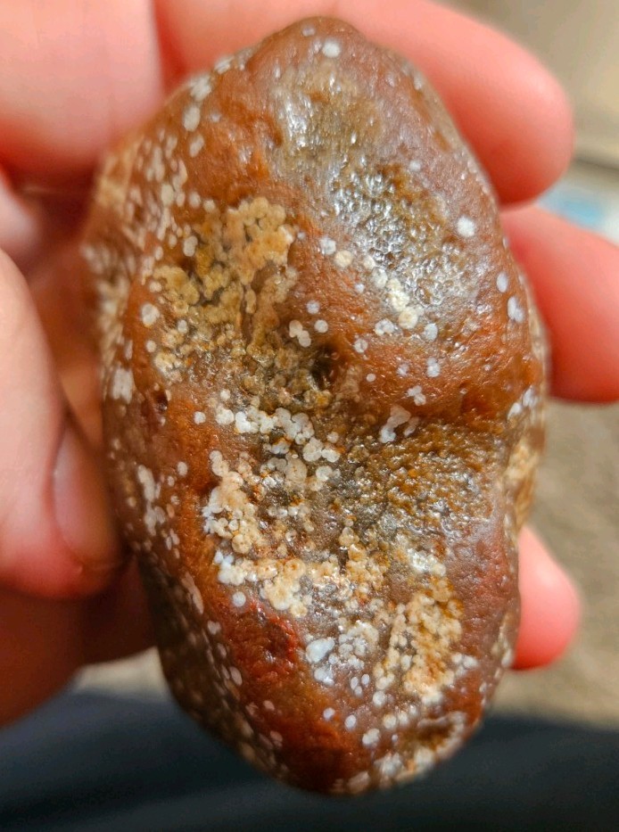 Lake Superior Agate Rough Brown Red and White Banded Stone 6.18 oz