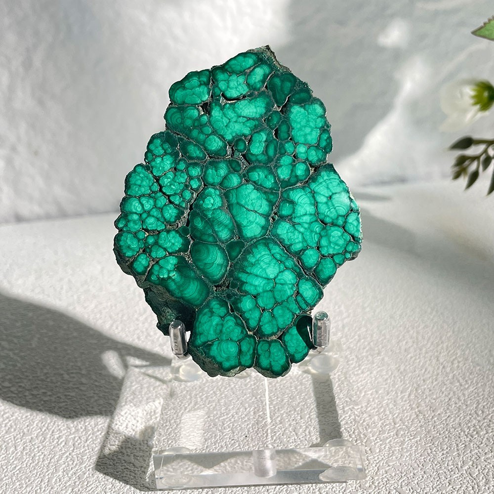 Natural Botryoidal Malachite Slice Crystal Specimen With Acrylic Stand 85g