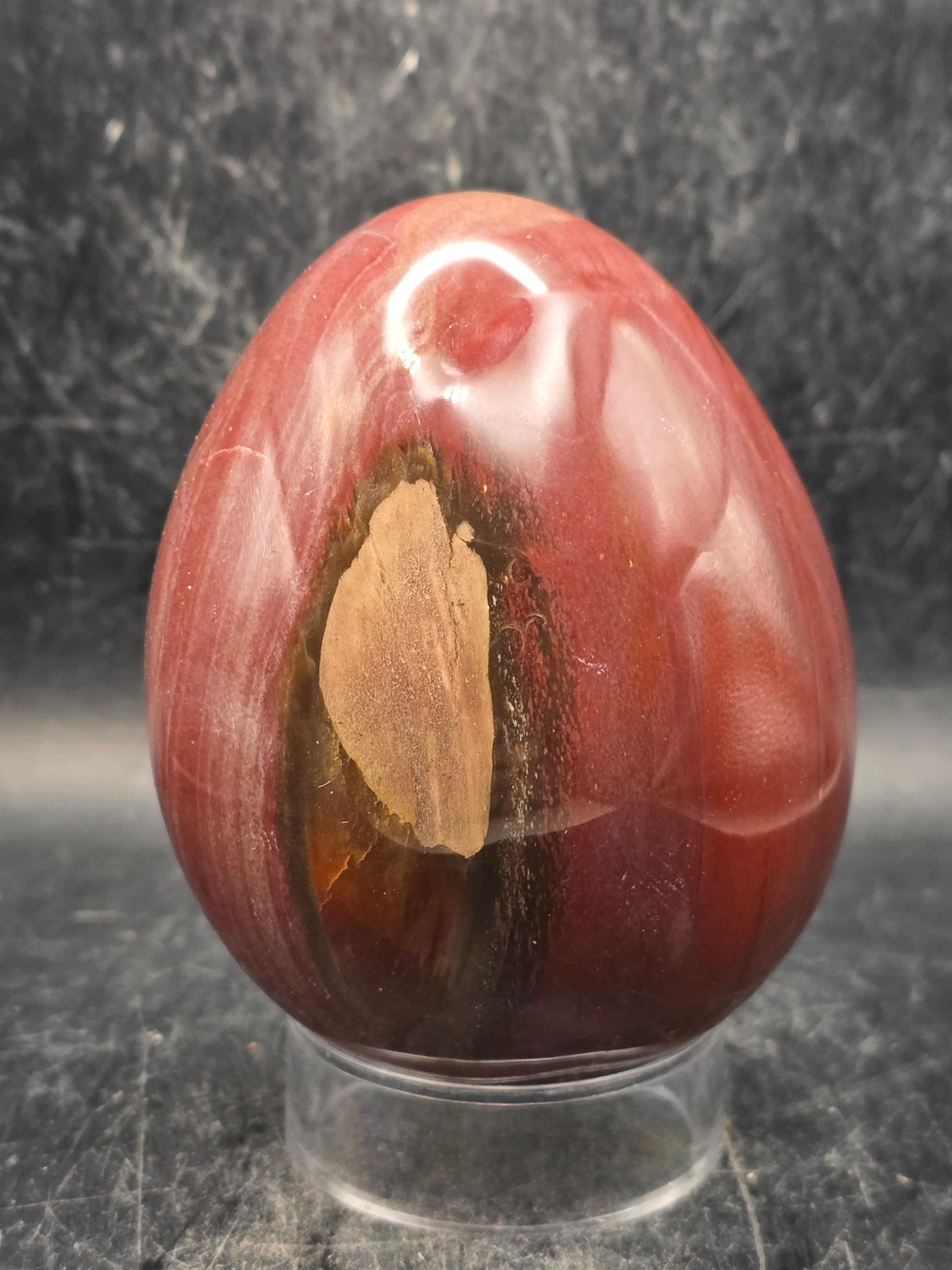 Petrified wood egg! 1.2 pounds, 3.3 inches tall, 2.6 inches wide