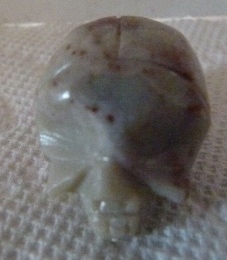Lot of 7 small 1 1/8″ Jasper Carved Crystal Gemstone Skulls Reiki Healing