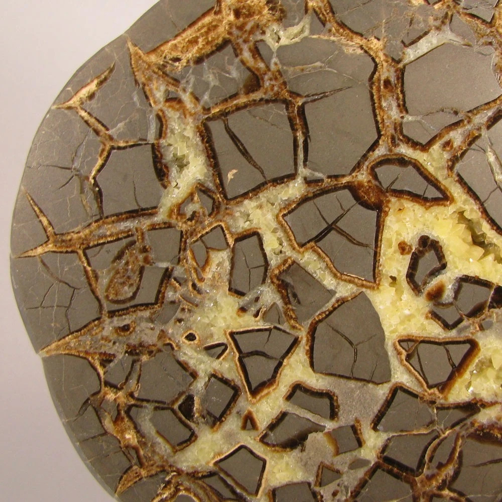 6.2″ Polished SEPTARIAN GEODE End Slab – Utah – 2.5 lbs.