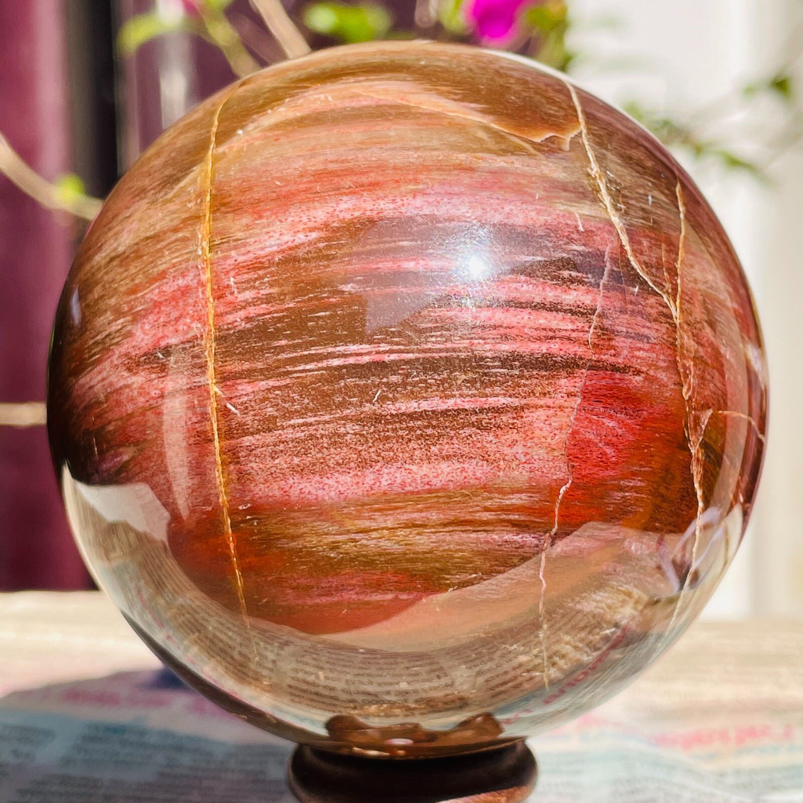 640g Natural Red Petrified Wood Crystal Ball Fossil Polished Sphere Specimen