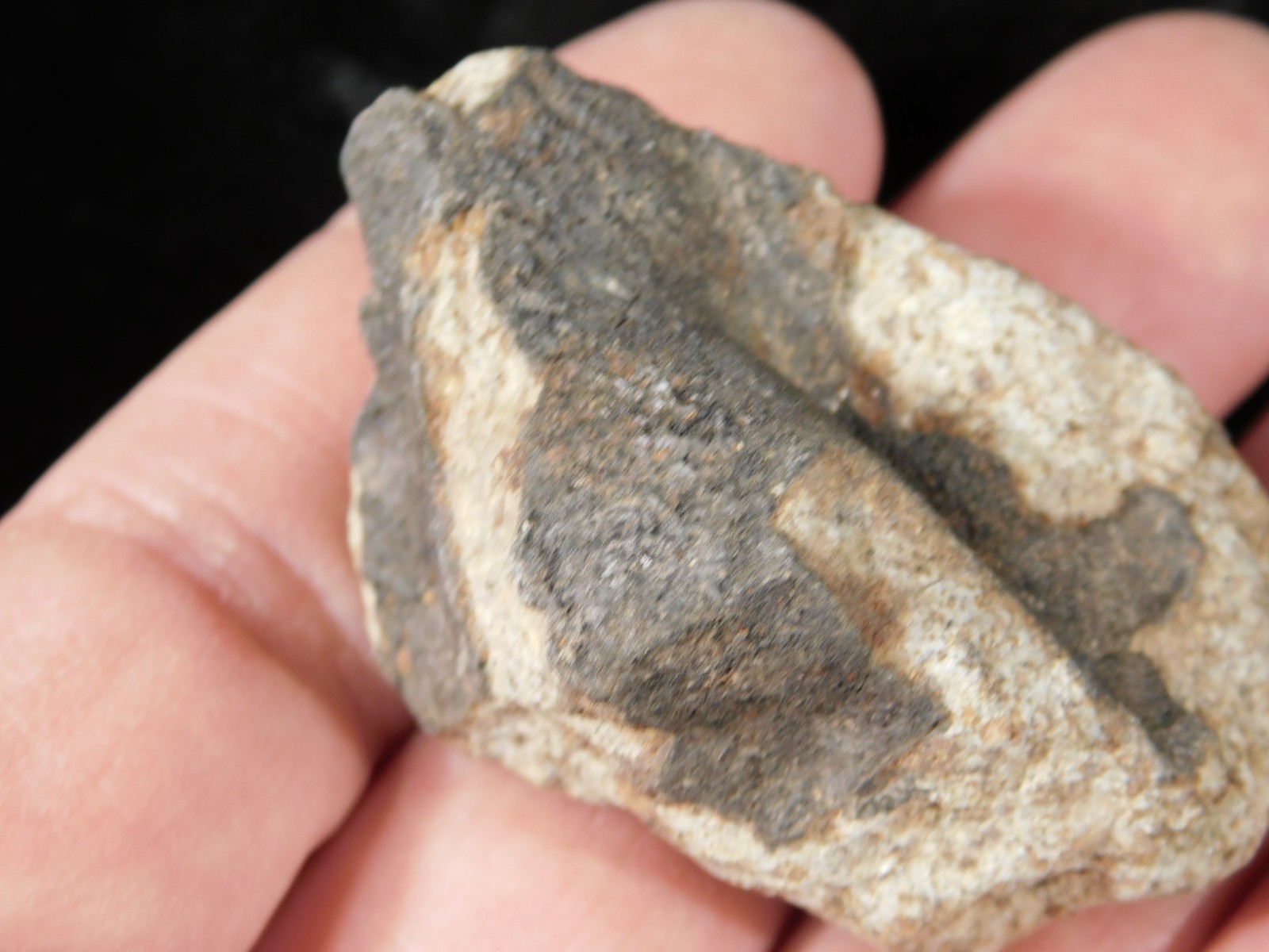 Classified NWA 8245 METEORITE 100% Natural FELL on Erfoud, Morocco 68.1gr