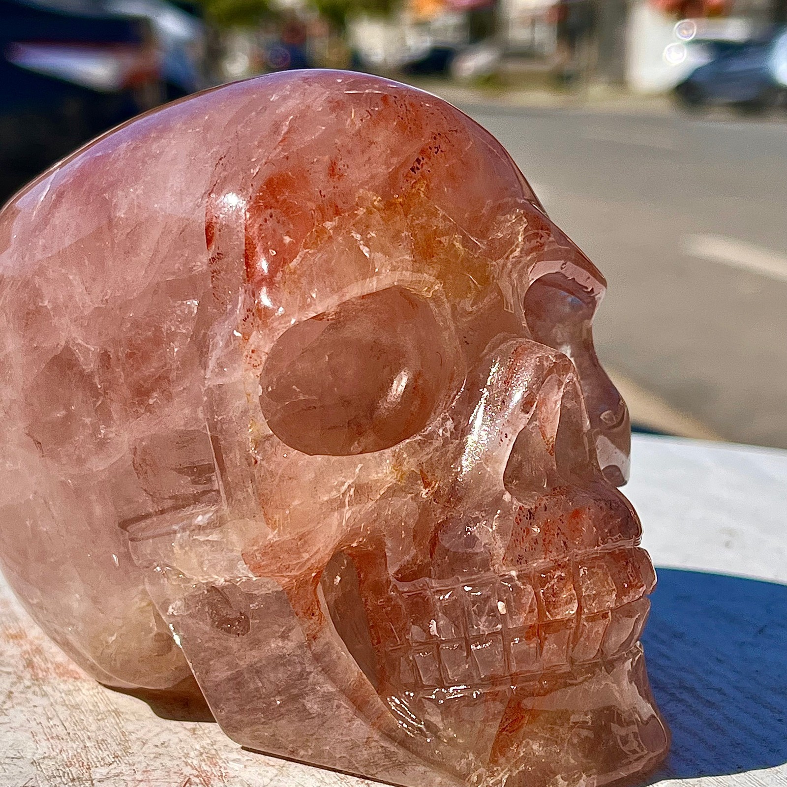 2.53LB Natural dreamy red gum flower skull hand carved skull healing