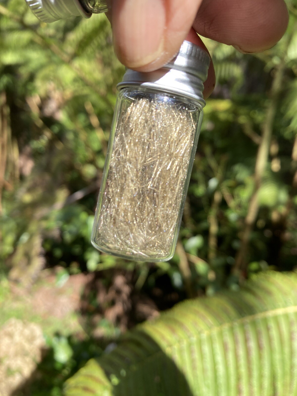 Olivine Crystal Volcanic, Pele’s Hair, Olivine Mineral Glass Specimens ￼10ml.