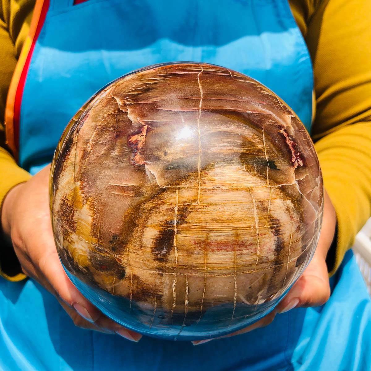 8.18LB Rare Natural Petrified Wood Ball Crystal Quartz Mineral Healing 4698