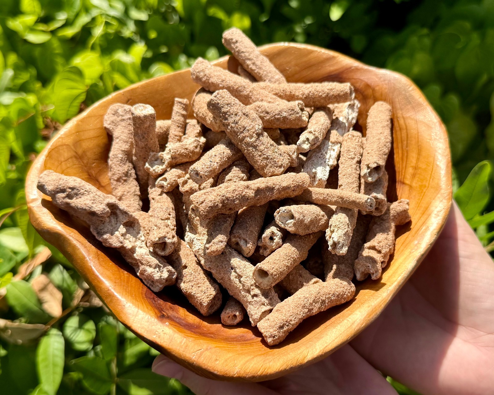 RARE Fulgurite Crystals Collection Box – Natural Lightning Formed Raw Fulgurite