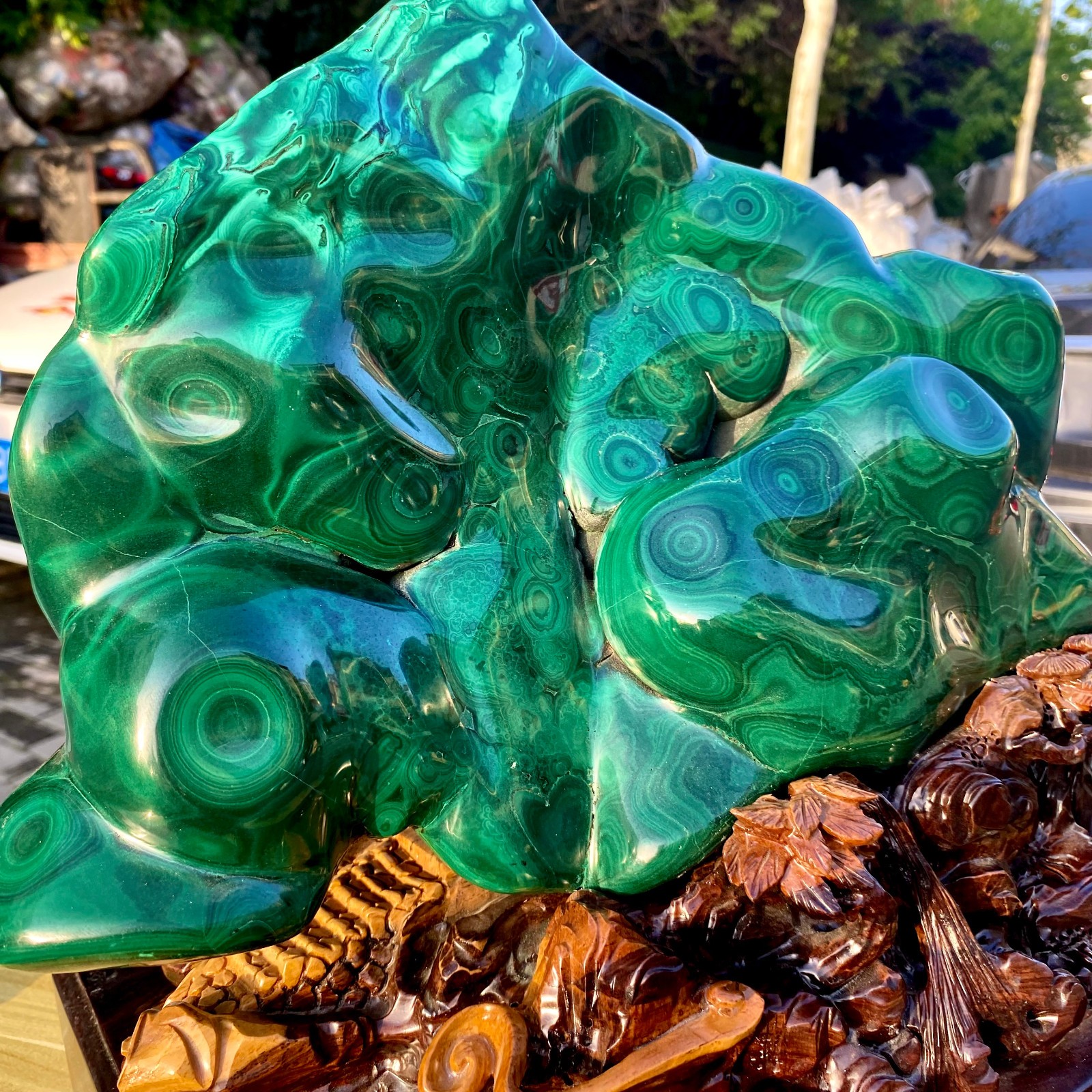 55.11LB Natural glossy Malachite transparent cluster rough mineral sample