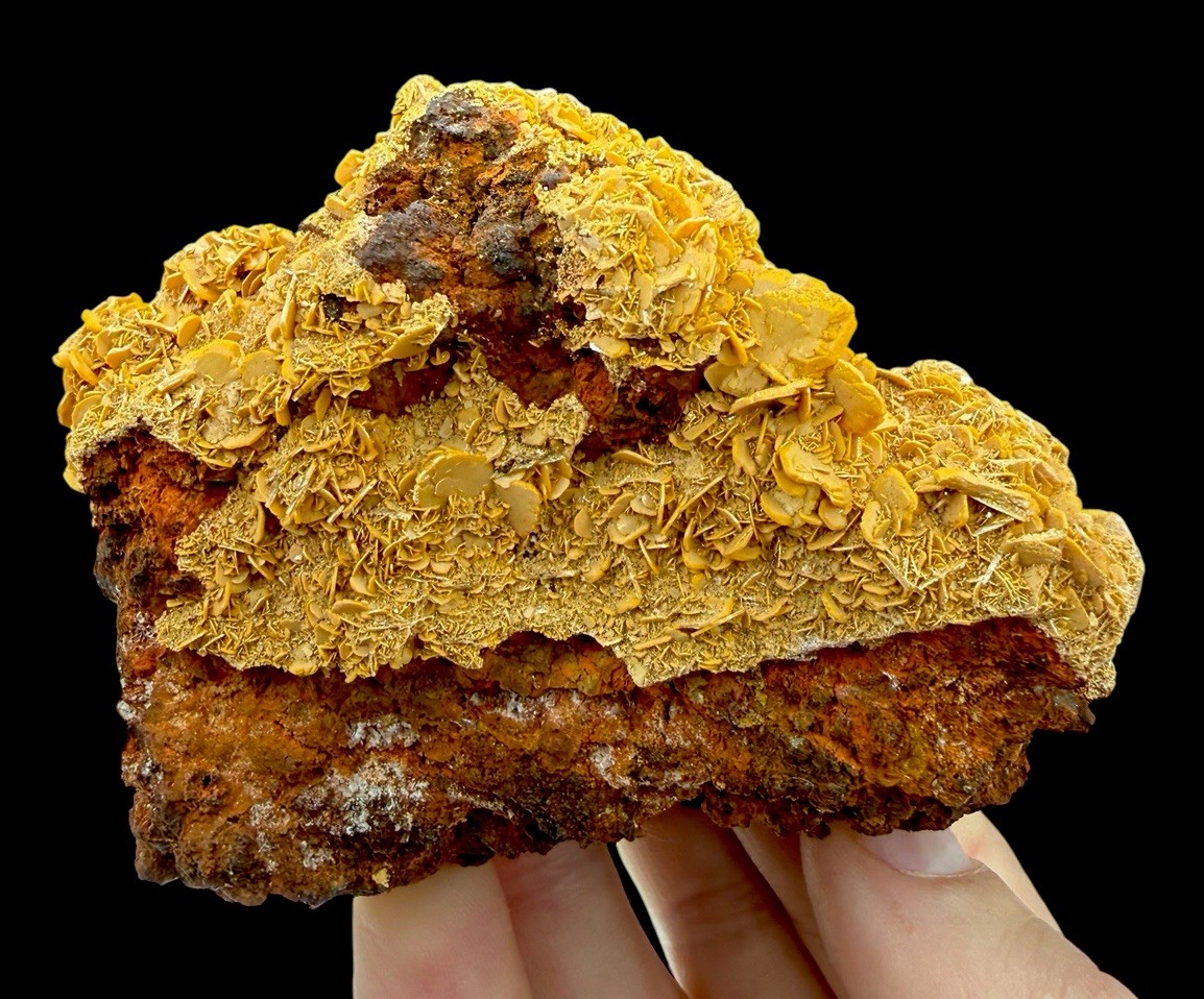 Wulfenite Crystals: Stefanie Mine . Bad Bleiberg . Carinthia , Austria 🇦🇹