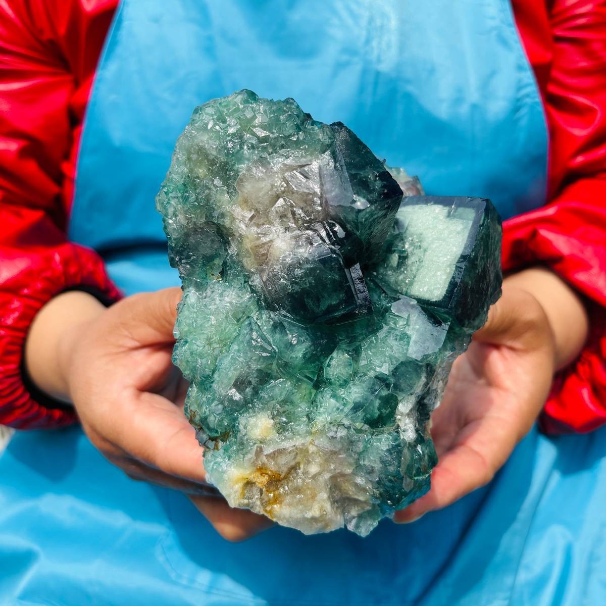 3.93LB Natural Green Fluorite Crystal Cluster Cubic Fluorite Specimen healing