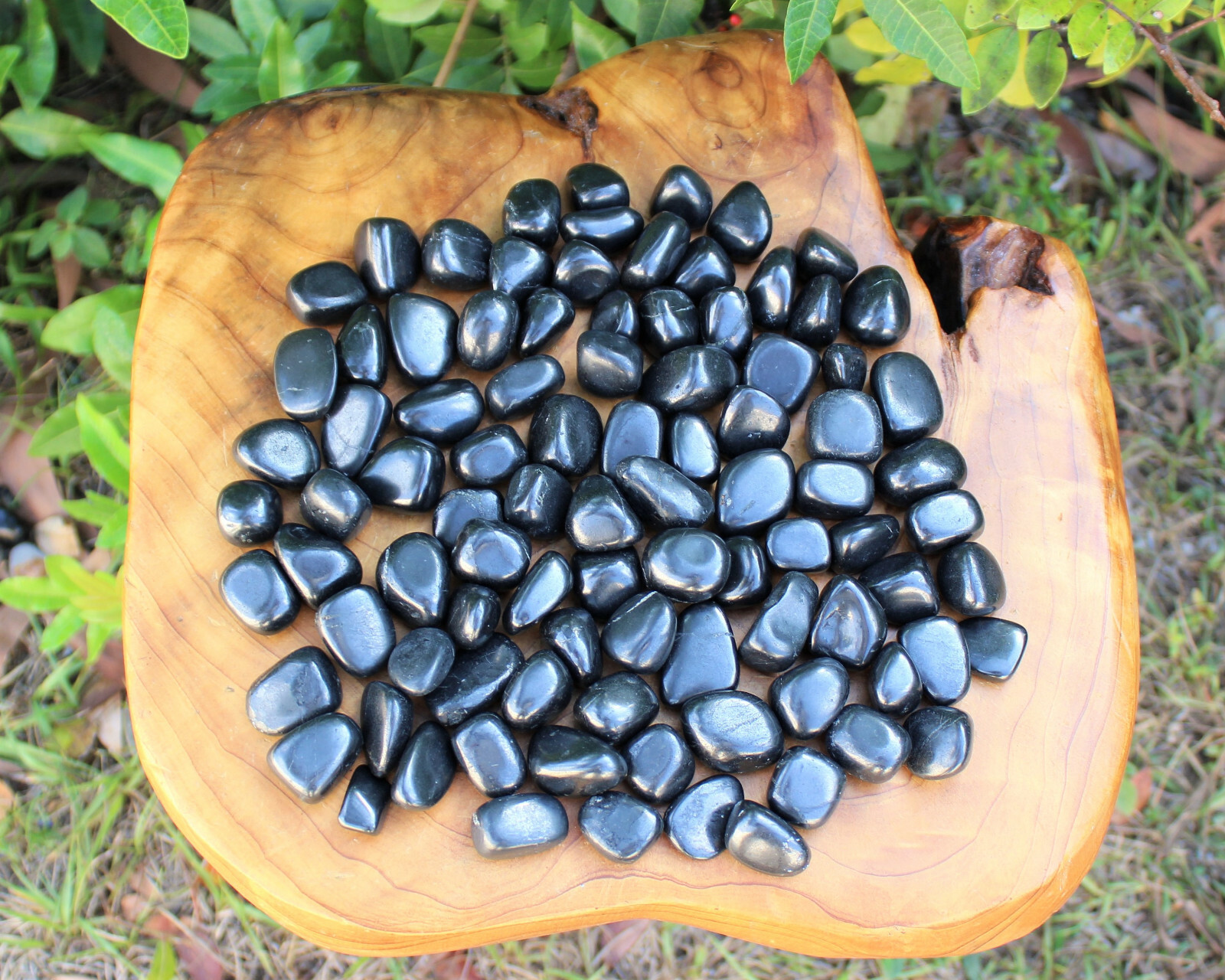 5 Shungite Specimen Tumbled Stones: Medium (Crystal Healing Gemstone Reiki)