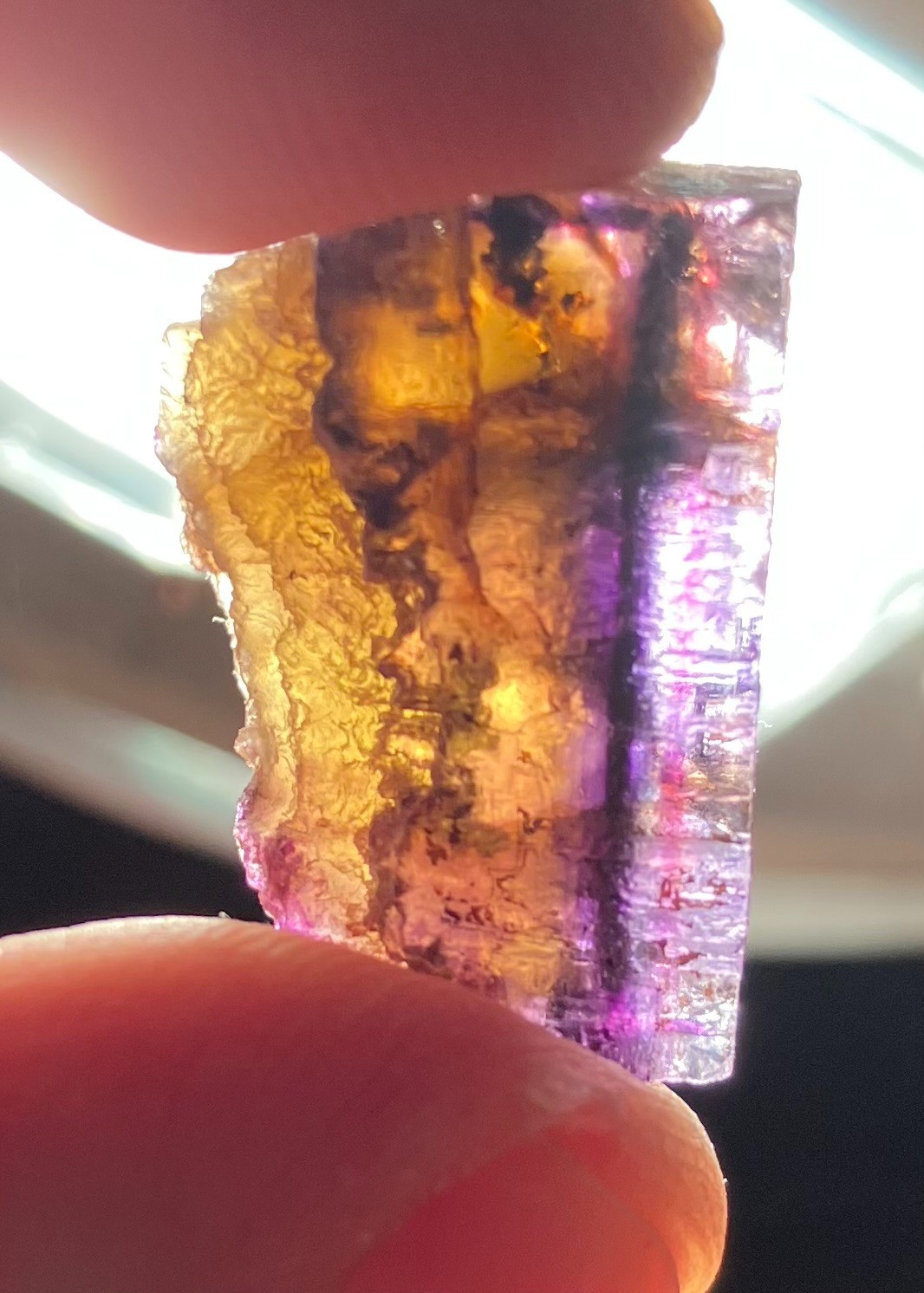 Illinios Fluorite 4 Piece Lot- Cave in Rock, Minerva#1, Annabel Lee