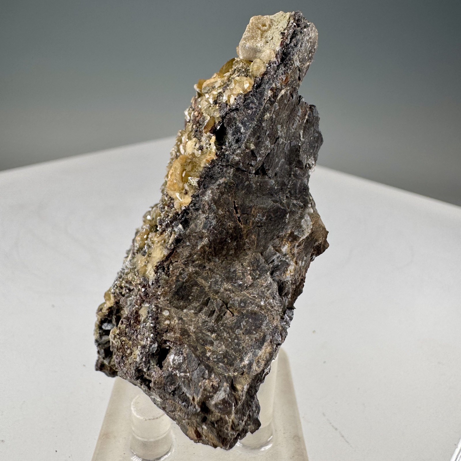 Wulfenite Crystals on Matrix: Lill Mine, Přibram, Czech Republic- Classic!!
