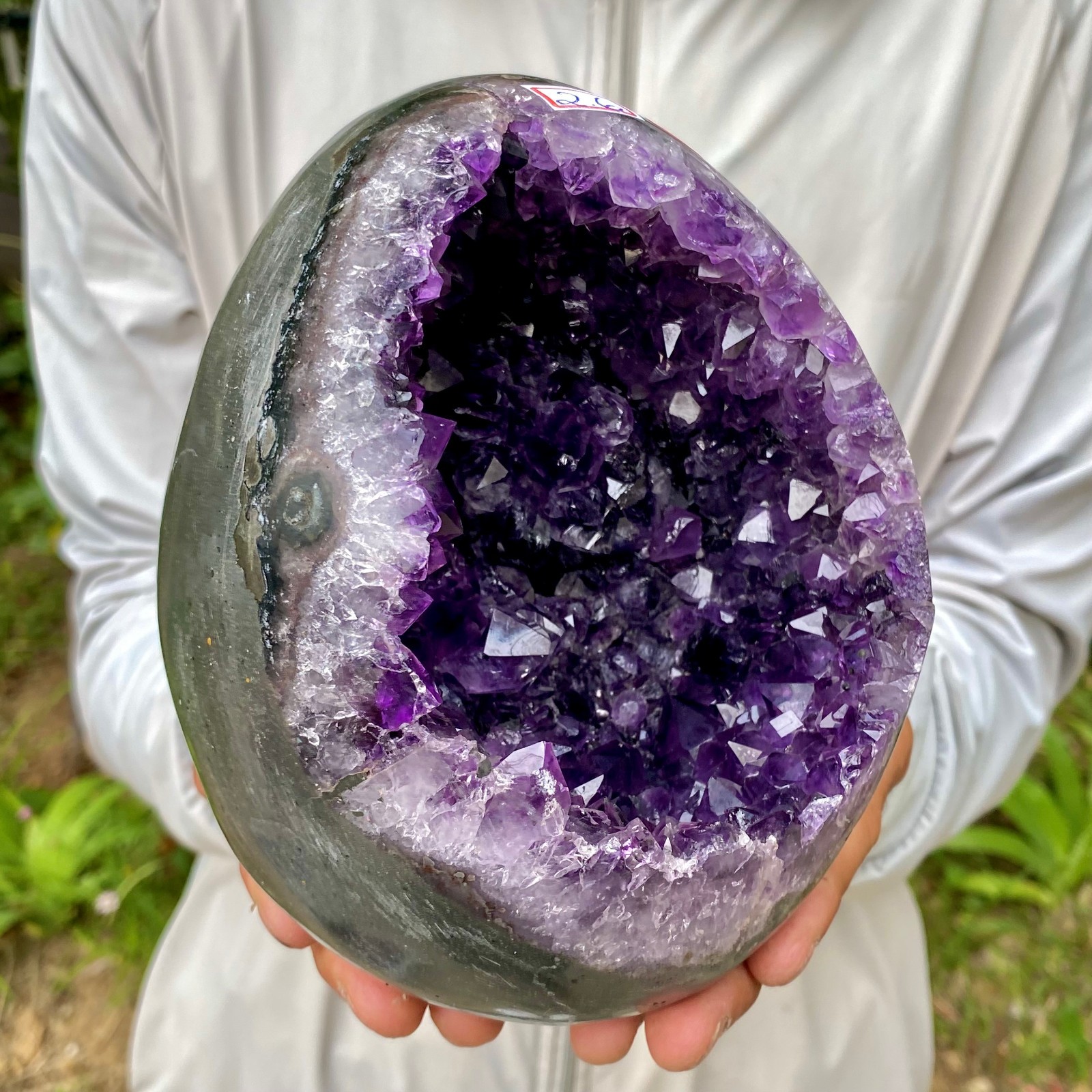 5.7LB Natural amethyst Dinosaur egg Quartz Crystal specimen healing