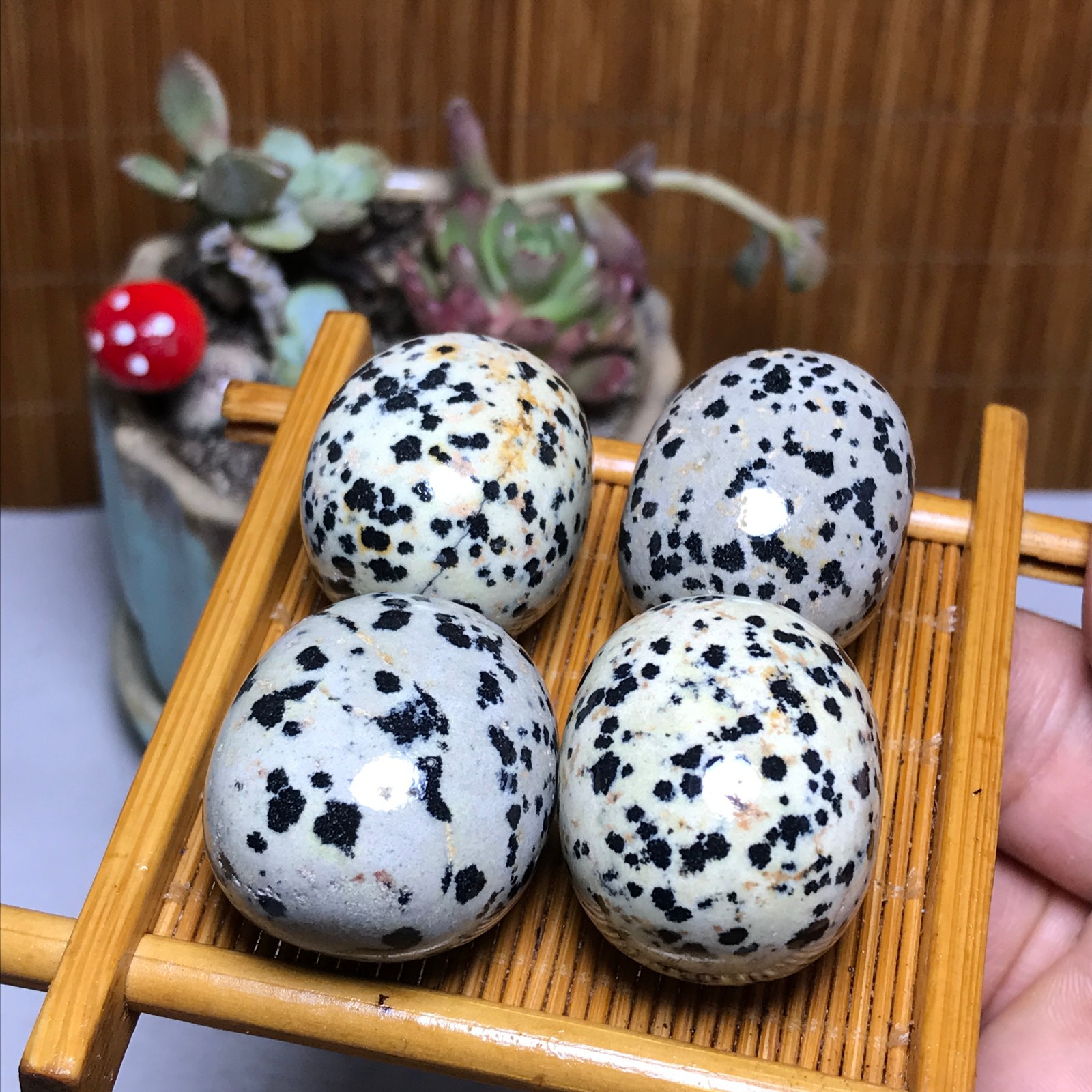28-23-23mm 4Pcs Natural spotted stone Crystal gemstone Mineral Specimen A4404