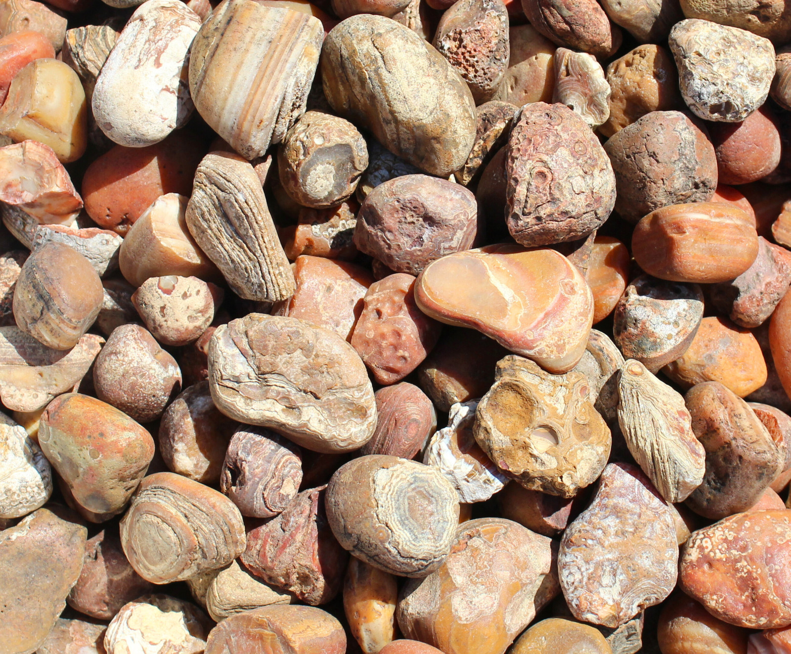 Bahia Agate – Small Rough Rocks for Tumbling – 0.5″ – 1.25″ – 1LB Bulk Wholesale