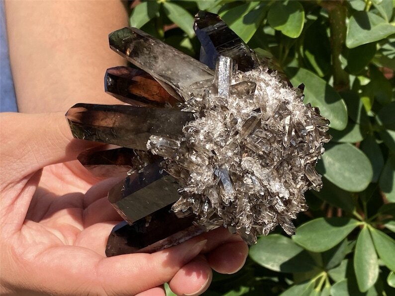 A+++ 300g+ Smokey Quartz Cluster Quartz Crystal Cluster Healing mineral gift 1pc