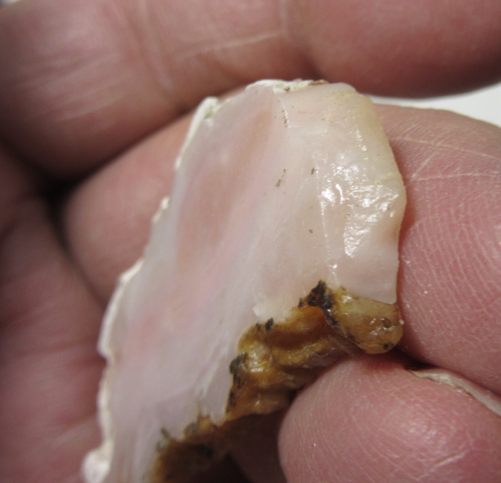Pink Opal Mineral 2 1/8″ Slice Spencer Idaho Collectible POMSTC-3s