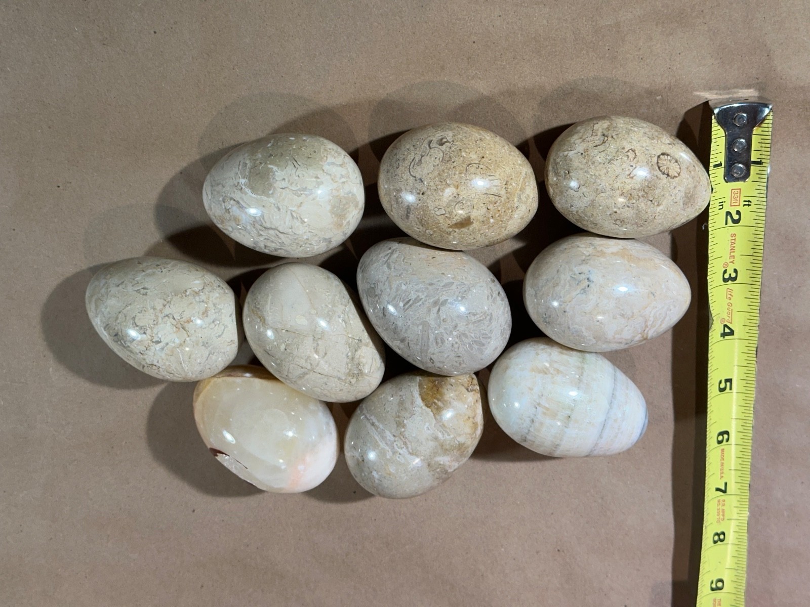 Lot of 10 Fossil Coral / Fossiliferous Limestone Polished Gemstone Eggs 2.75” –