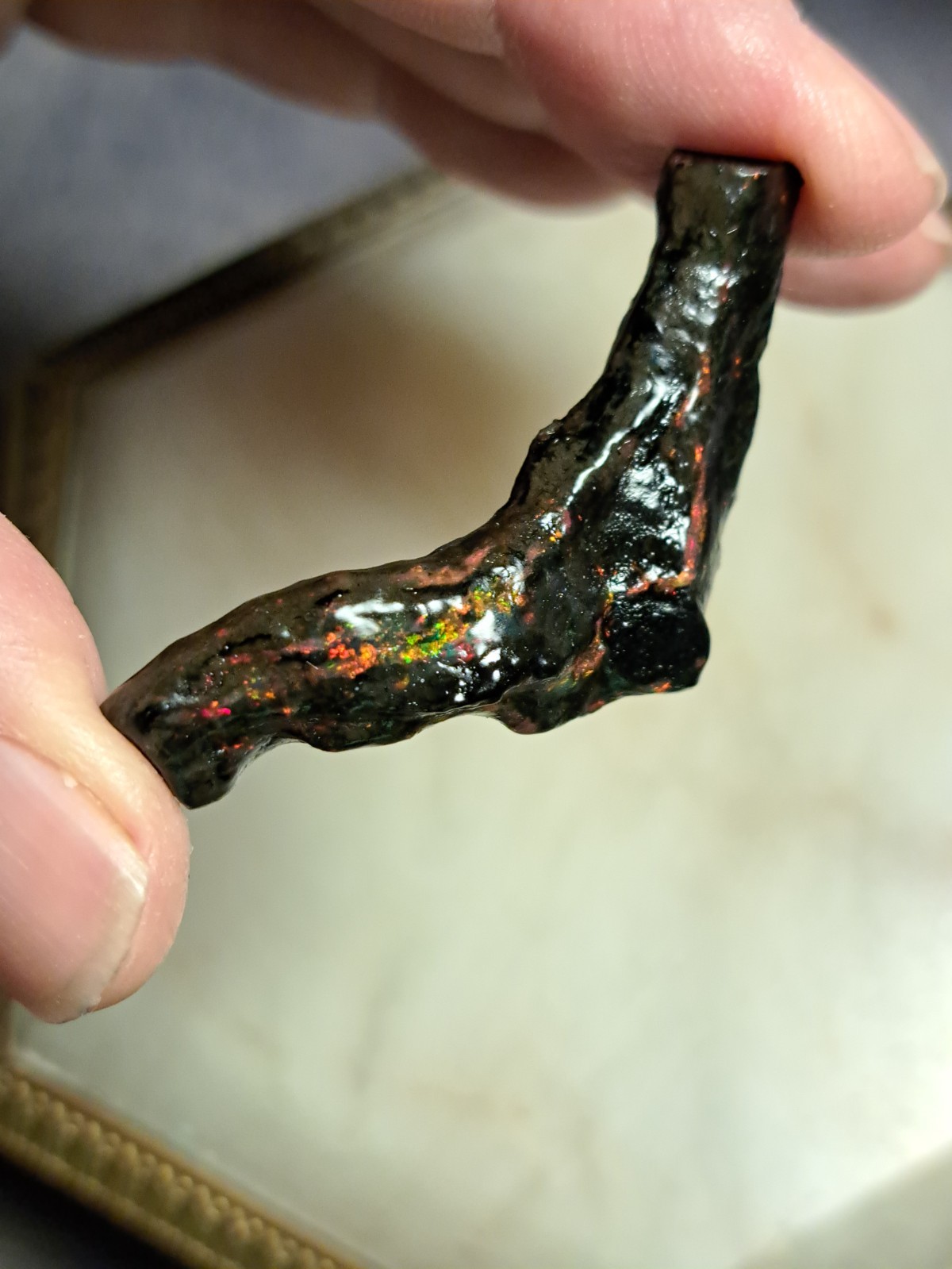 Huge Multicolor 38.52ct Indonesian Wood Opal Fossil Red, Green, & Yellow Flashes