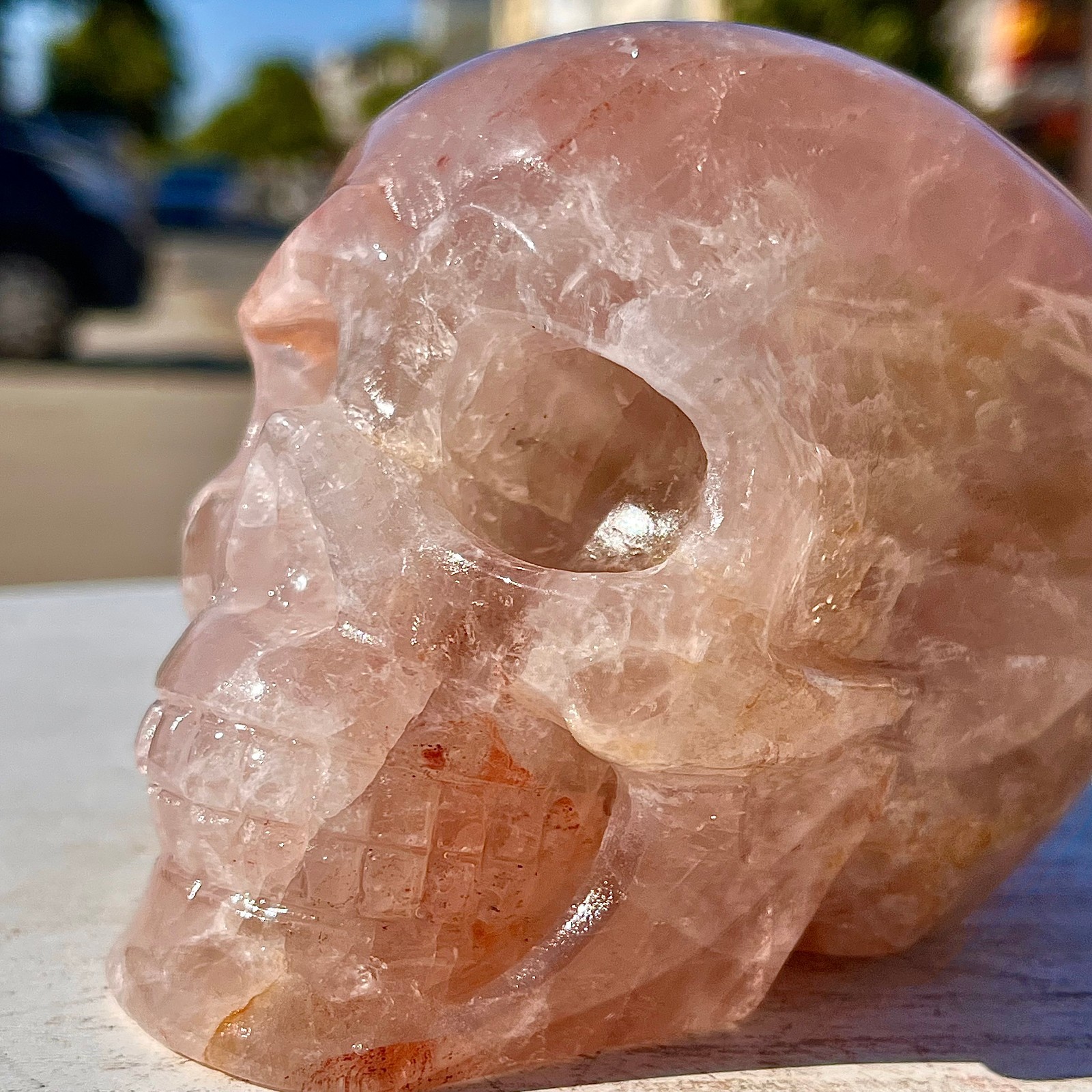 2.71LB Natural dreamy red gum flower skull hand carved skull healing