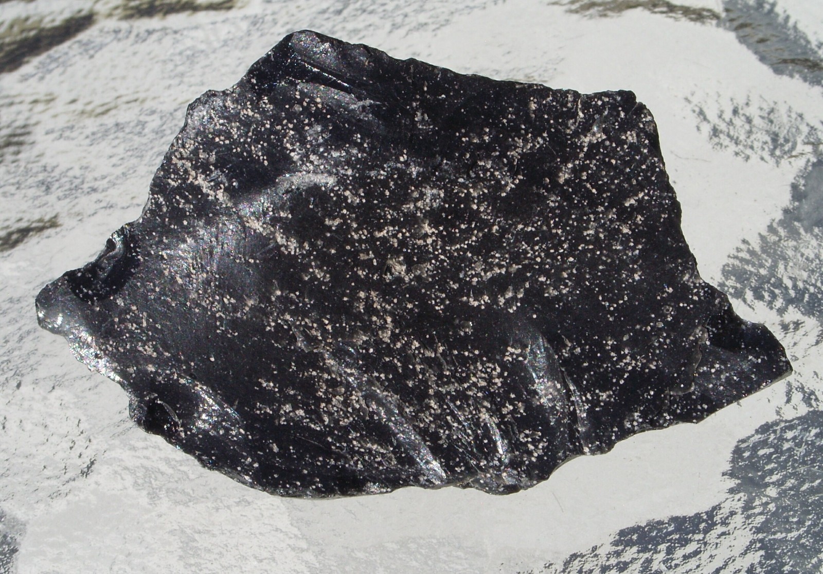 Raw Arizona Black Snowflake Obsidian Free Form Stone Medium 63mm 44 grams