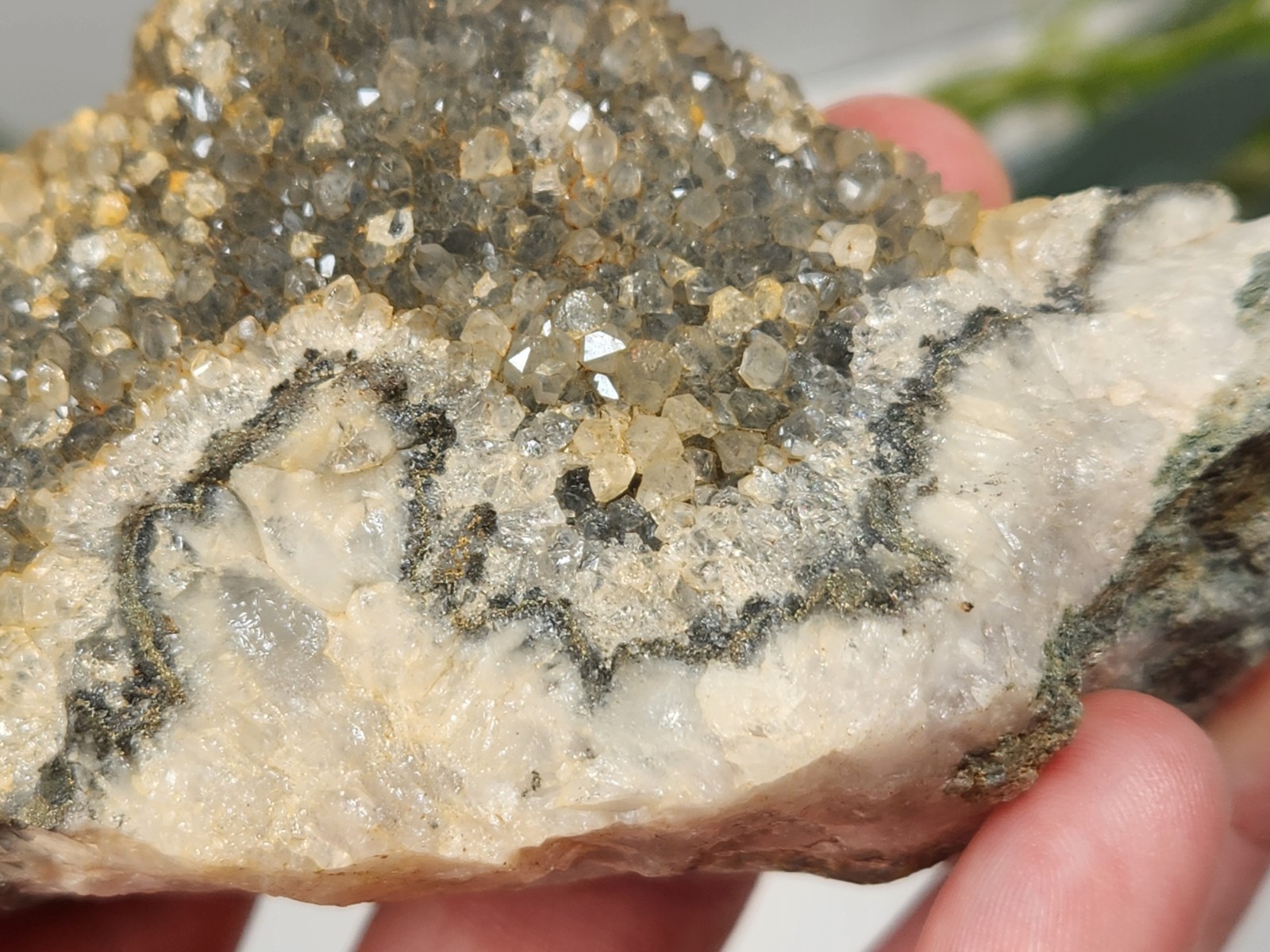 Druzy Quartz From Mexico Crystal Mineral Specimen 274g 3.75in Ep1