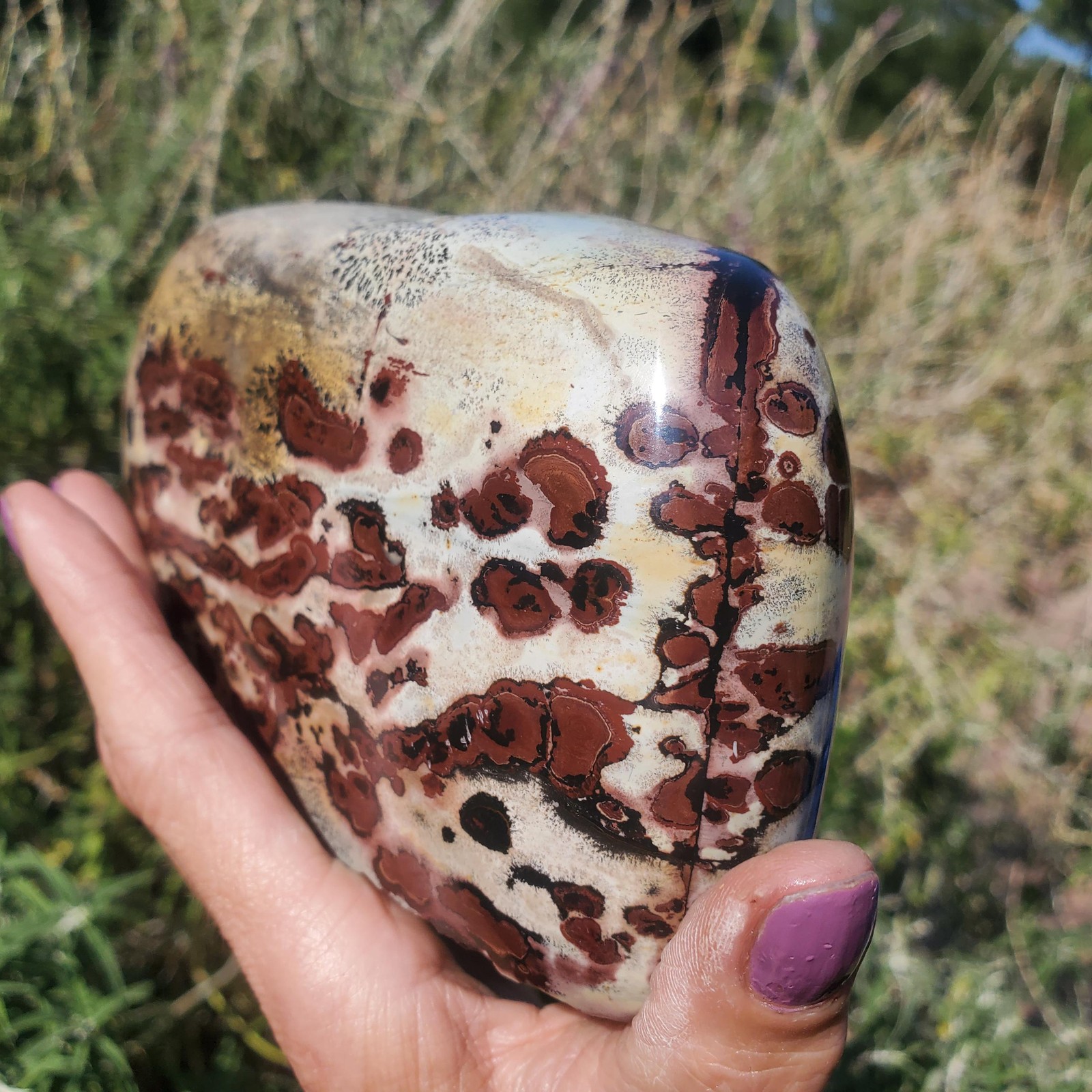 Picture Stone Jasper Dendritic Dendrite Display Freeform | 3lbs 5oz | 1490 Gram