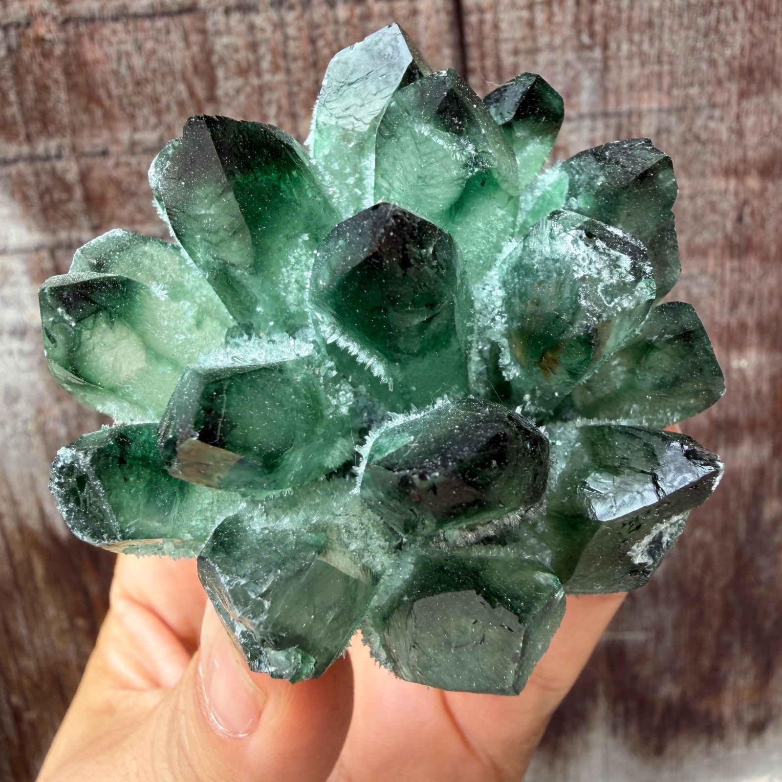 New Find green Phantom Quartz Crystal Cluster Mineral Specimen Healing 200g+ 1pc