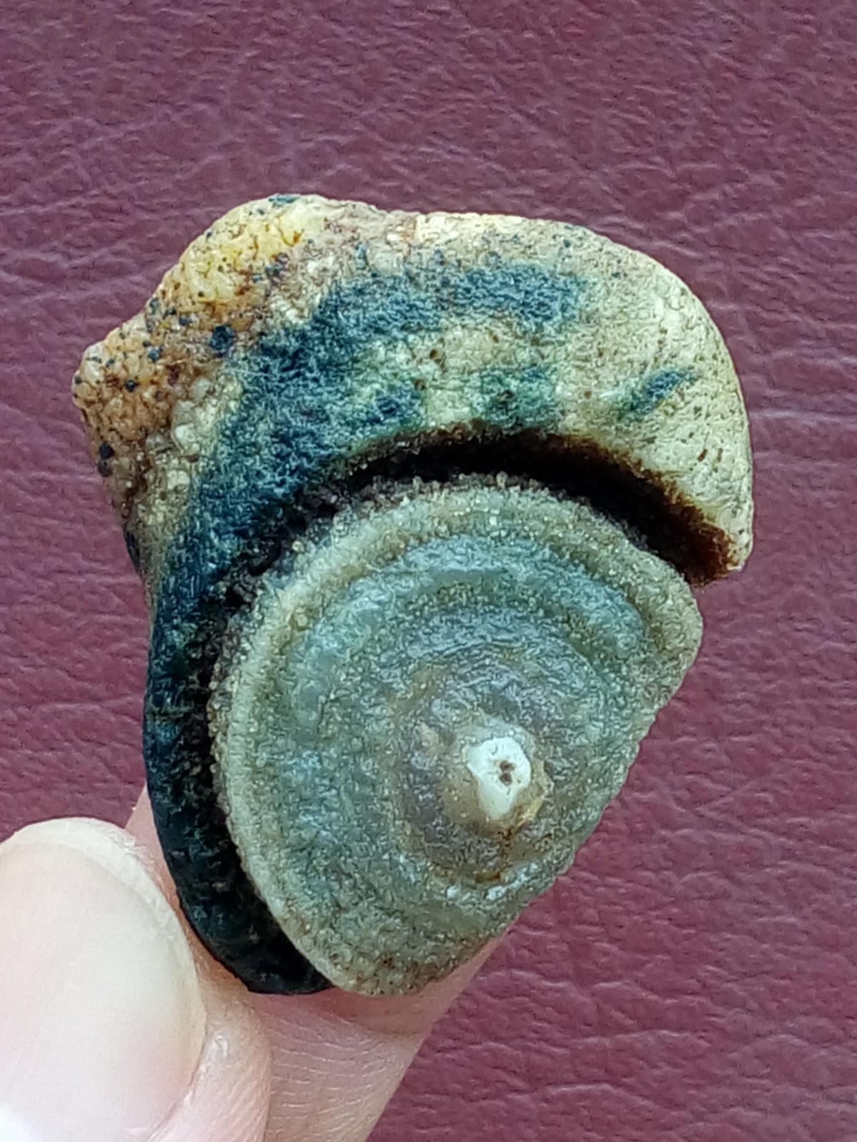36mm Natural Gobi agate eye agate stone cute collection
