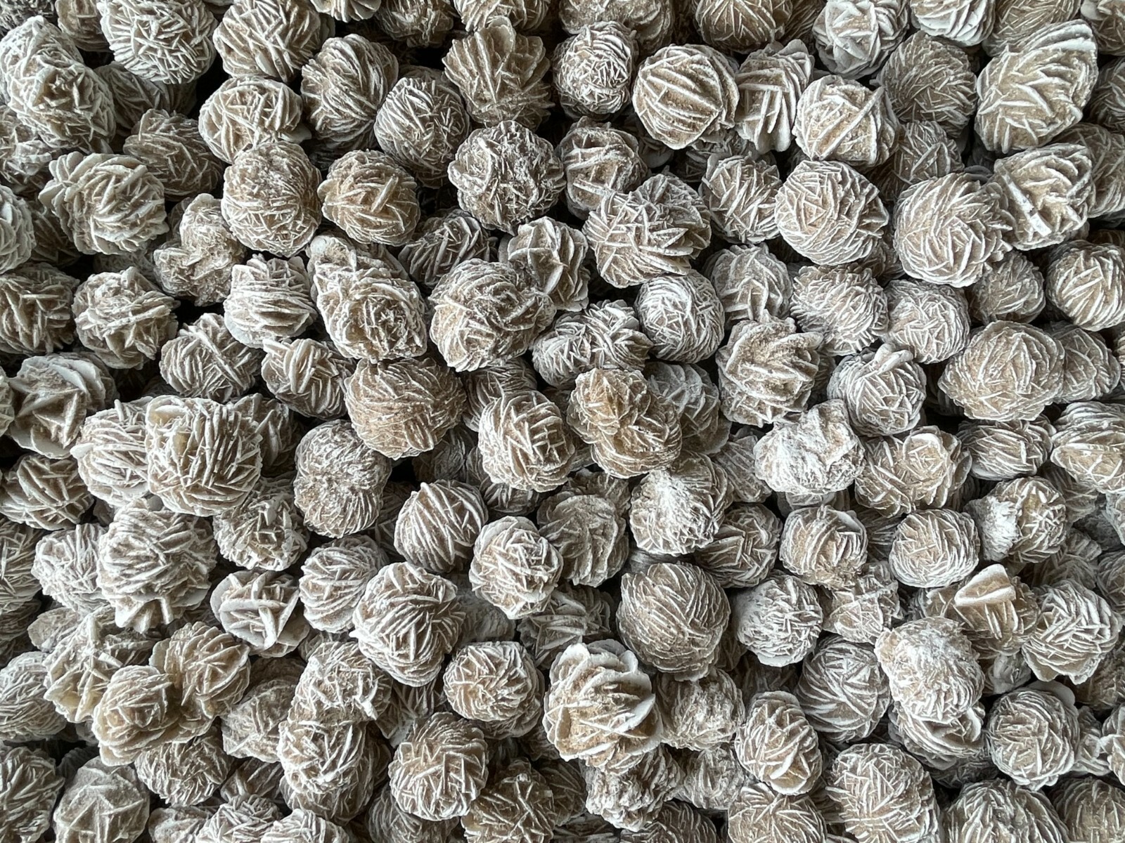 Desert Rose Selenite, 0.85-1.25 Inch Small Desert Gypsum Rose,Wholesale Bulk Lot