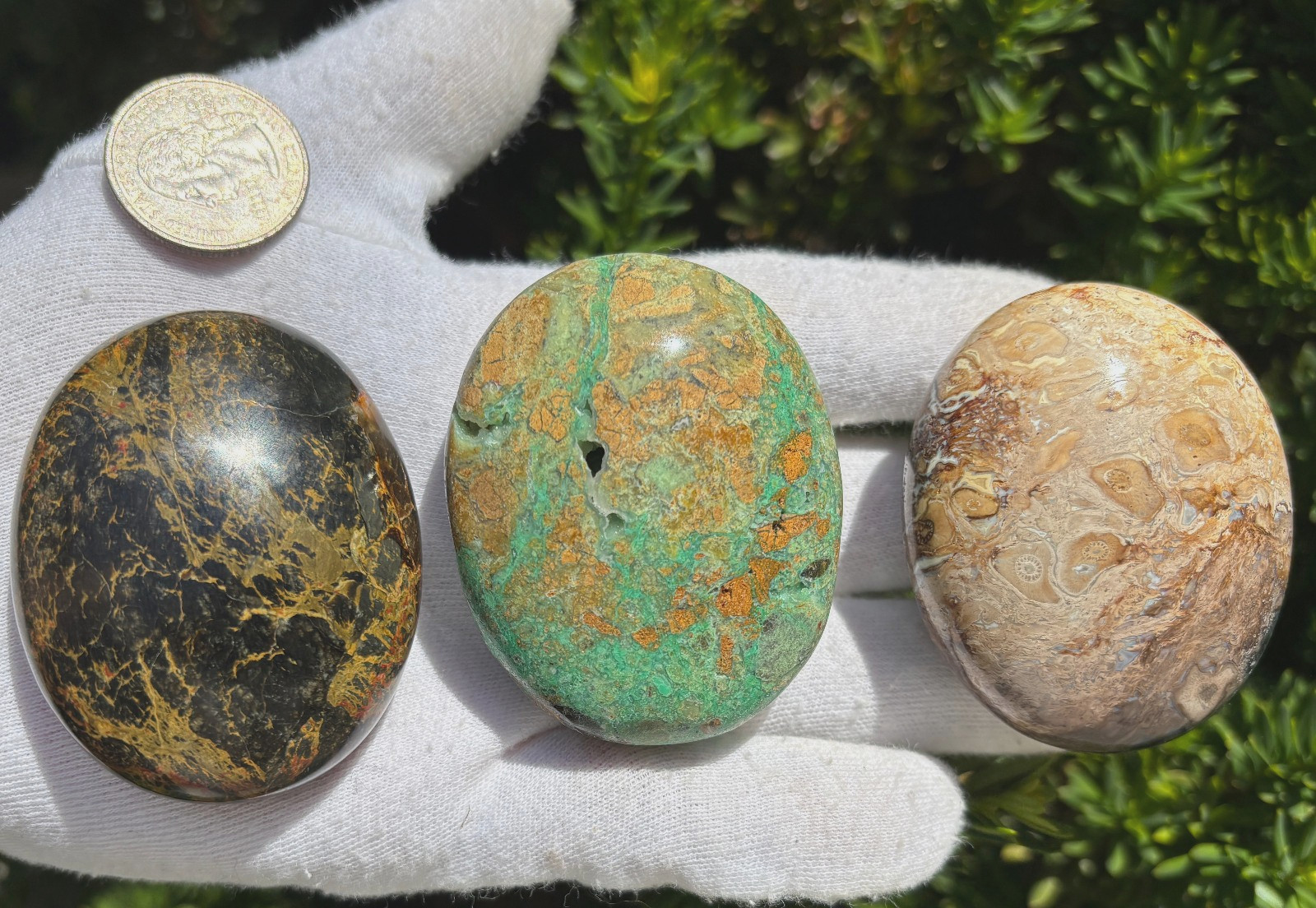 LOT MIZONE OPAL/GREEN SMITHSONITE/PALM ROOT PALMSTONES PALM STONES STONE