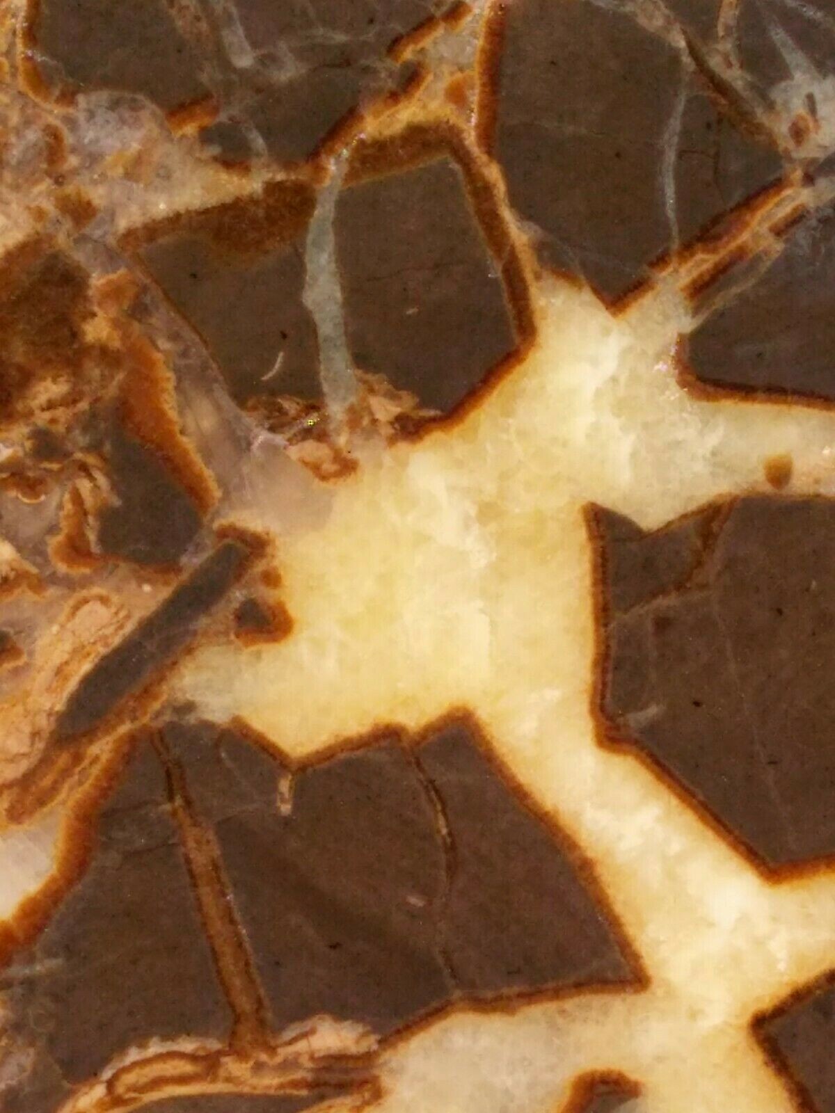 FACE CUT SEPTARIAN NODULE YELLOW CALCITE BRECCIA WHITE CRYSTAL UTAH 3LBS 9.1OZ!