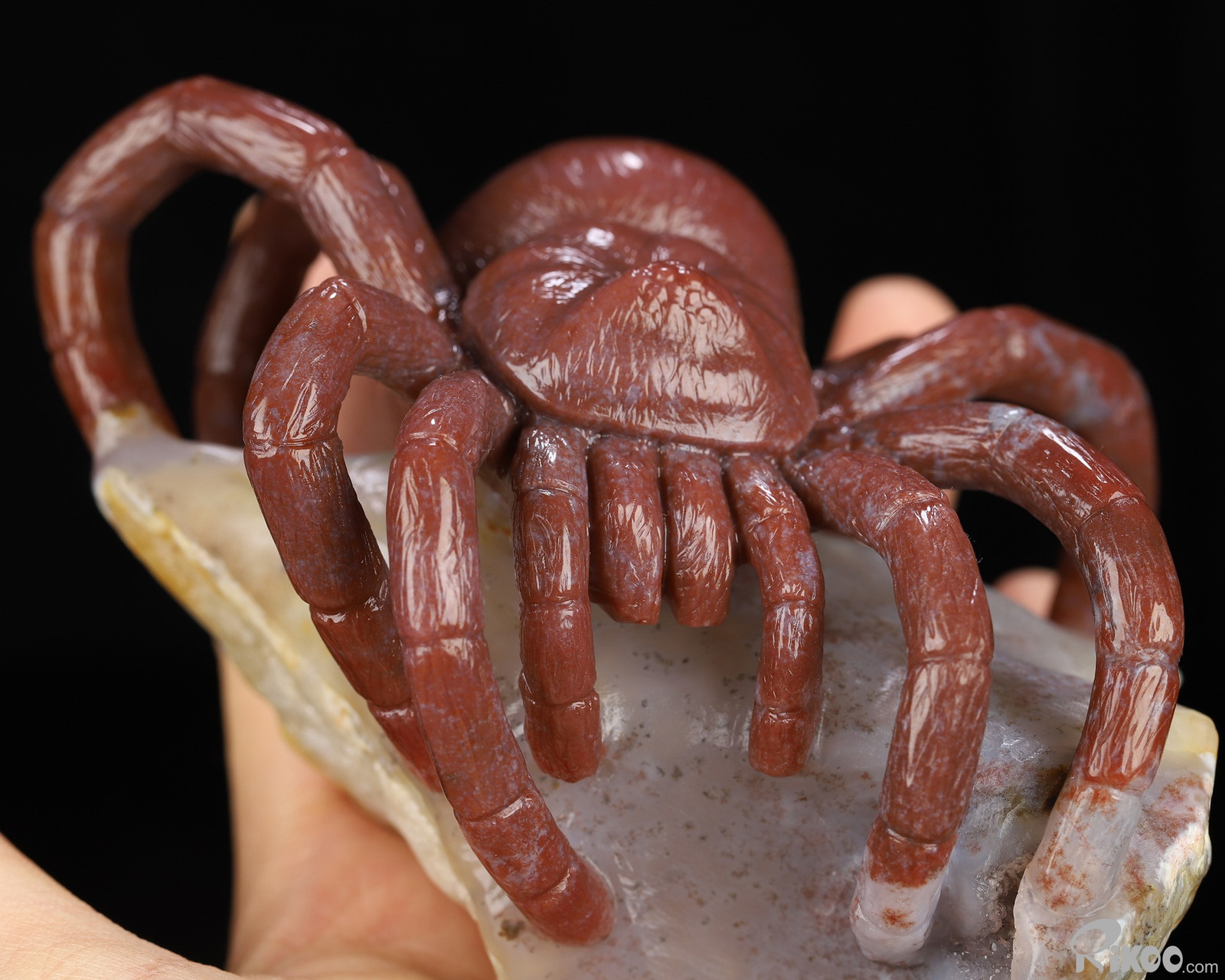 4.1″ Indian Agate Hand Carved Crystal Spider Sculpture, Crystal Healing