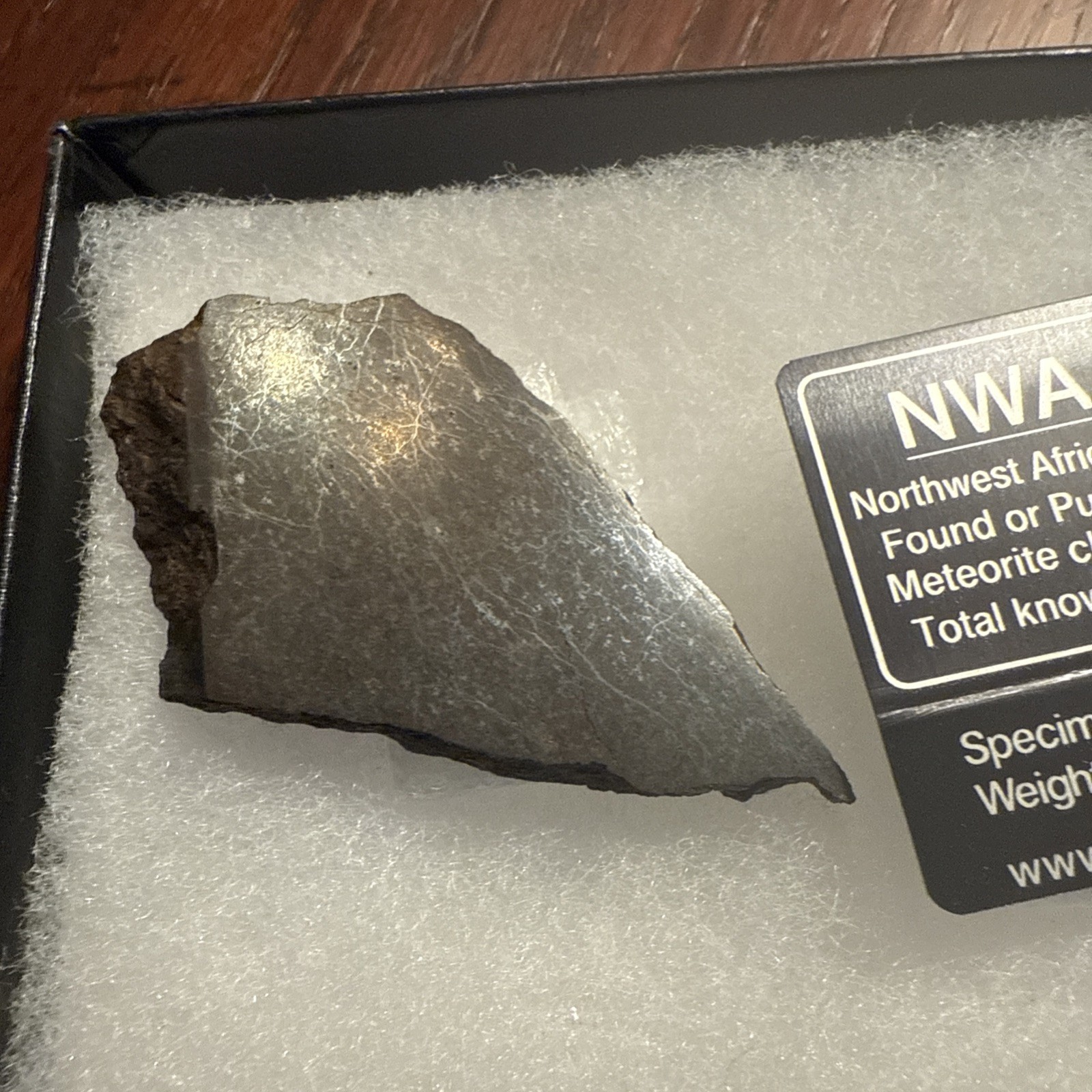 22.1 g Chondrite Meteorite Slice, Africa