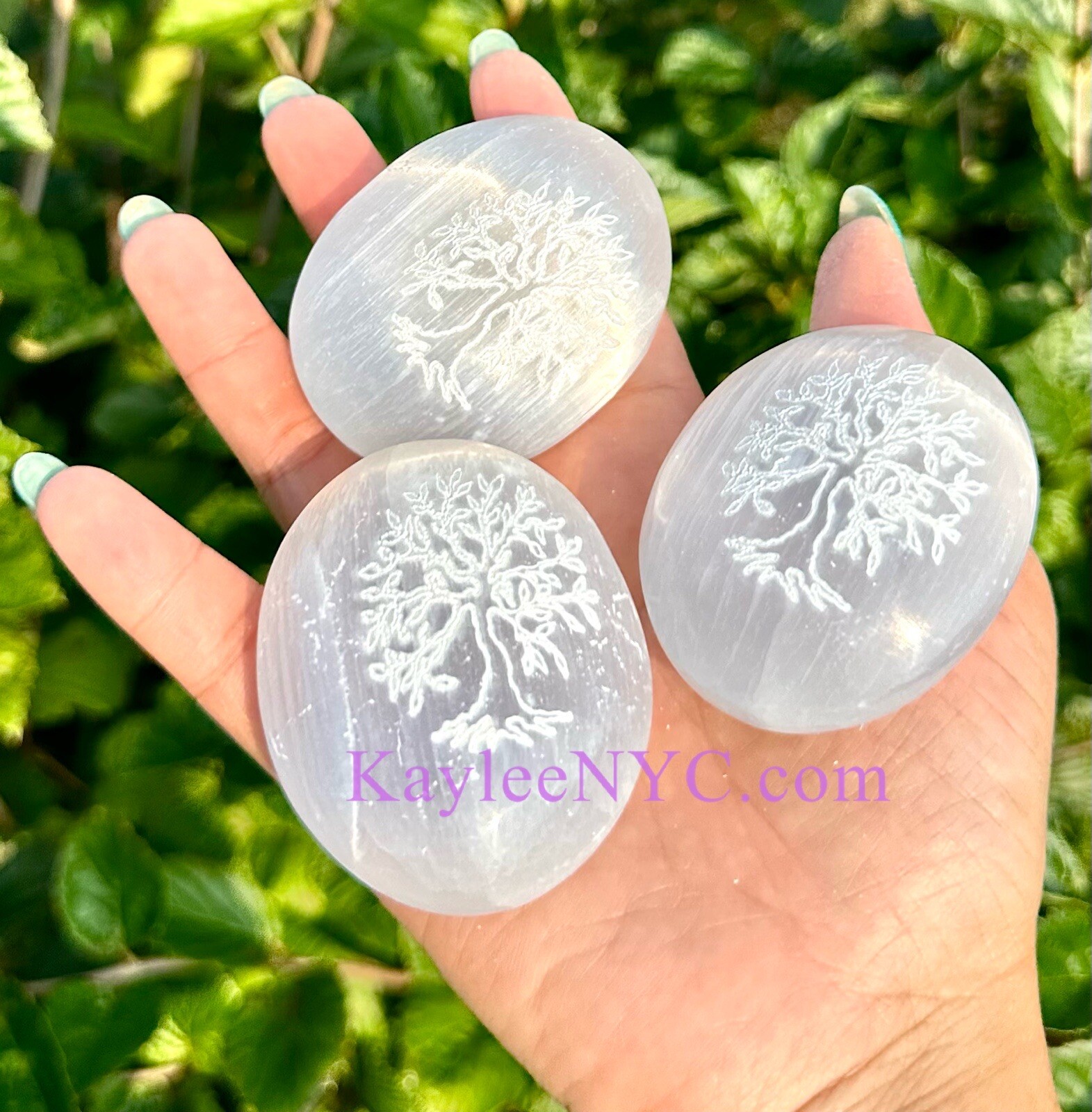 Wholesale Lot 12 PCs Natural Selenite Aka Satin Spar Tree Of Life Palm Stone