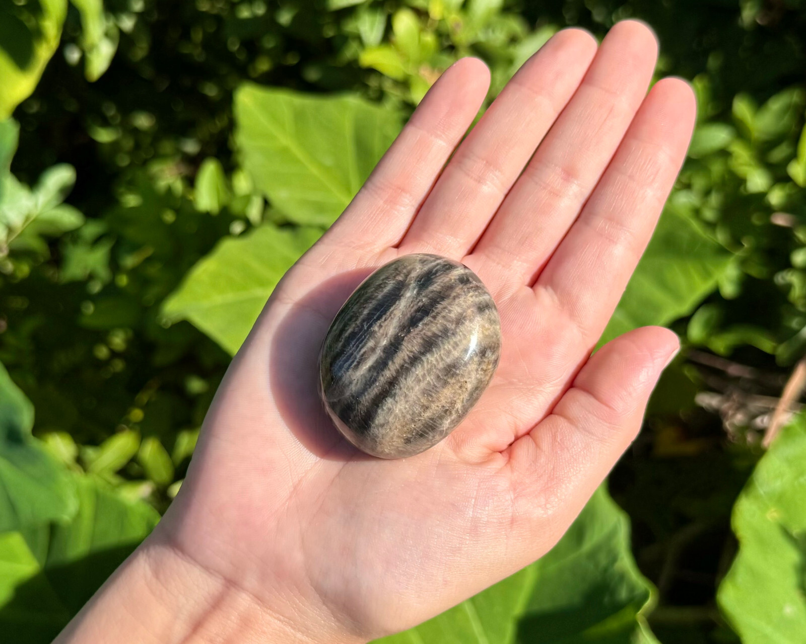 Black Moonstone Palm Stone: Hand Polished Moonstone Pebbles (Wholesale Bulk Lot)