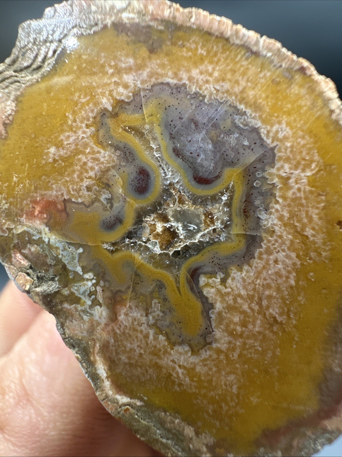 Kentucky Agate Polished Specimen Collector Grade Yellow Moss